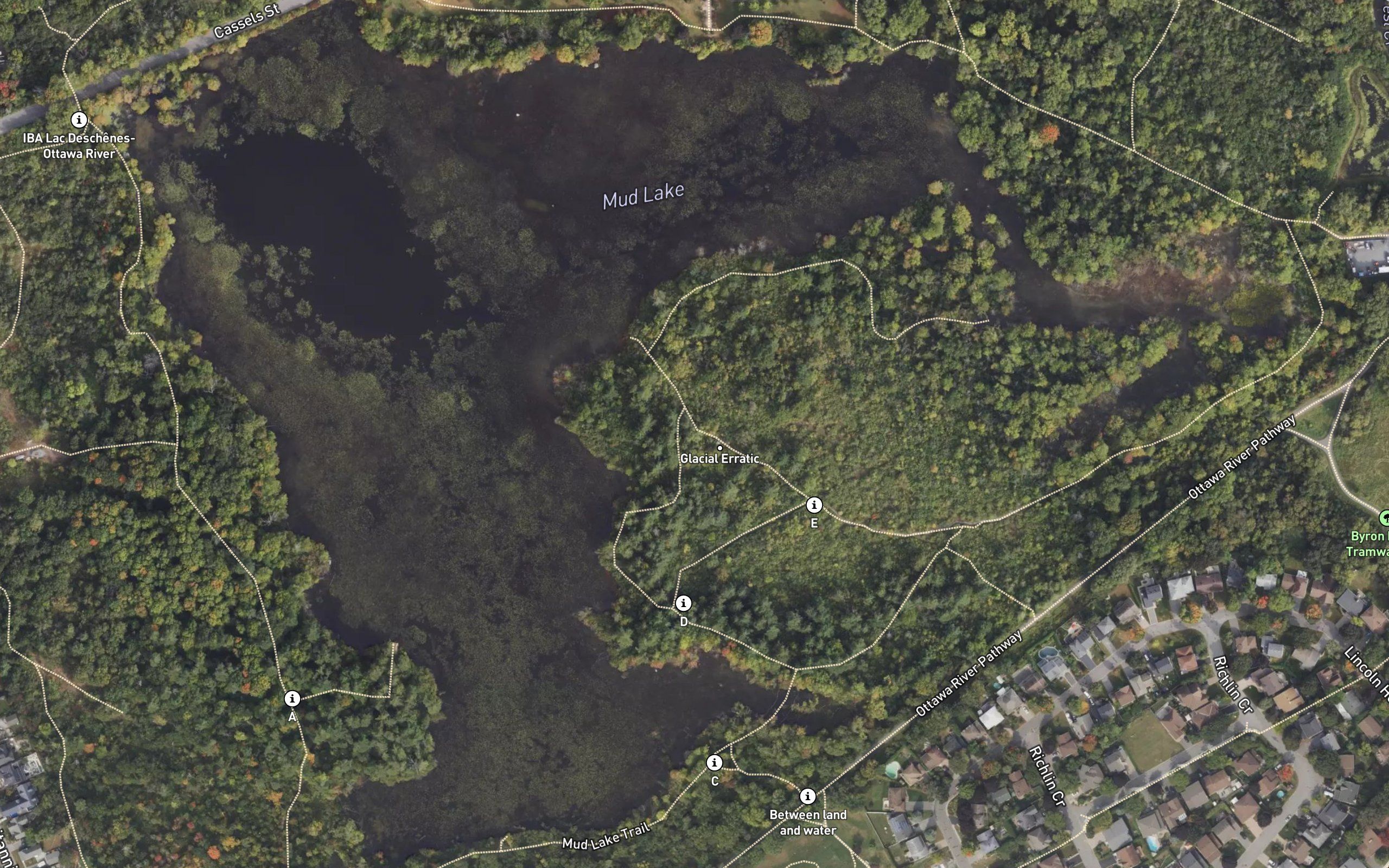 Mud Lake