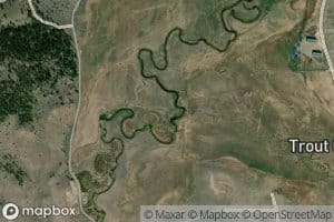 Trout Creek