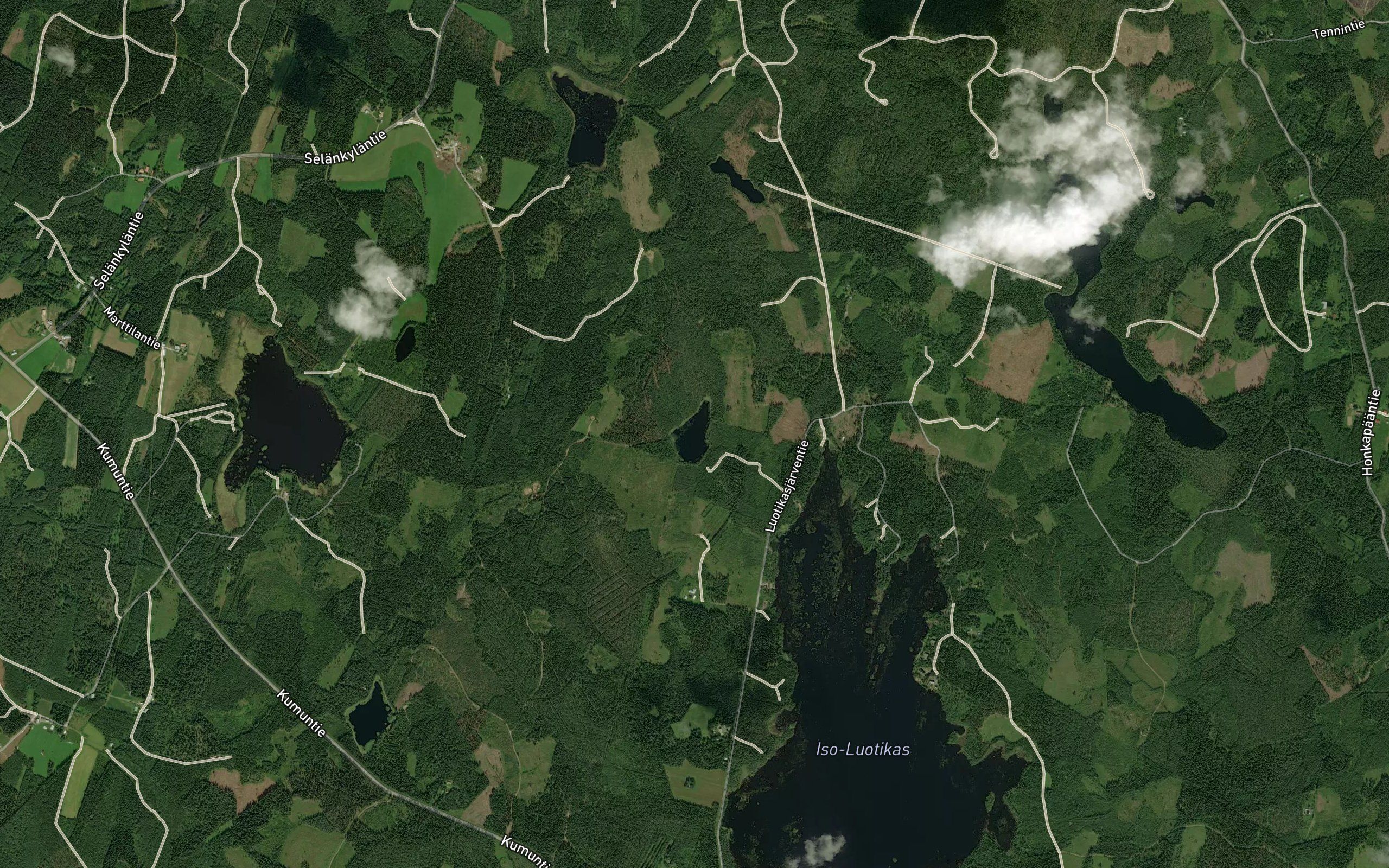 Luotikaslampi