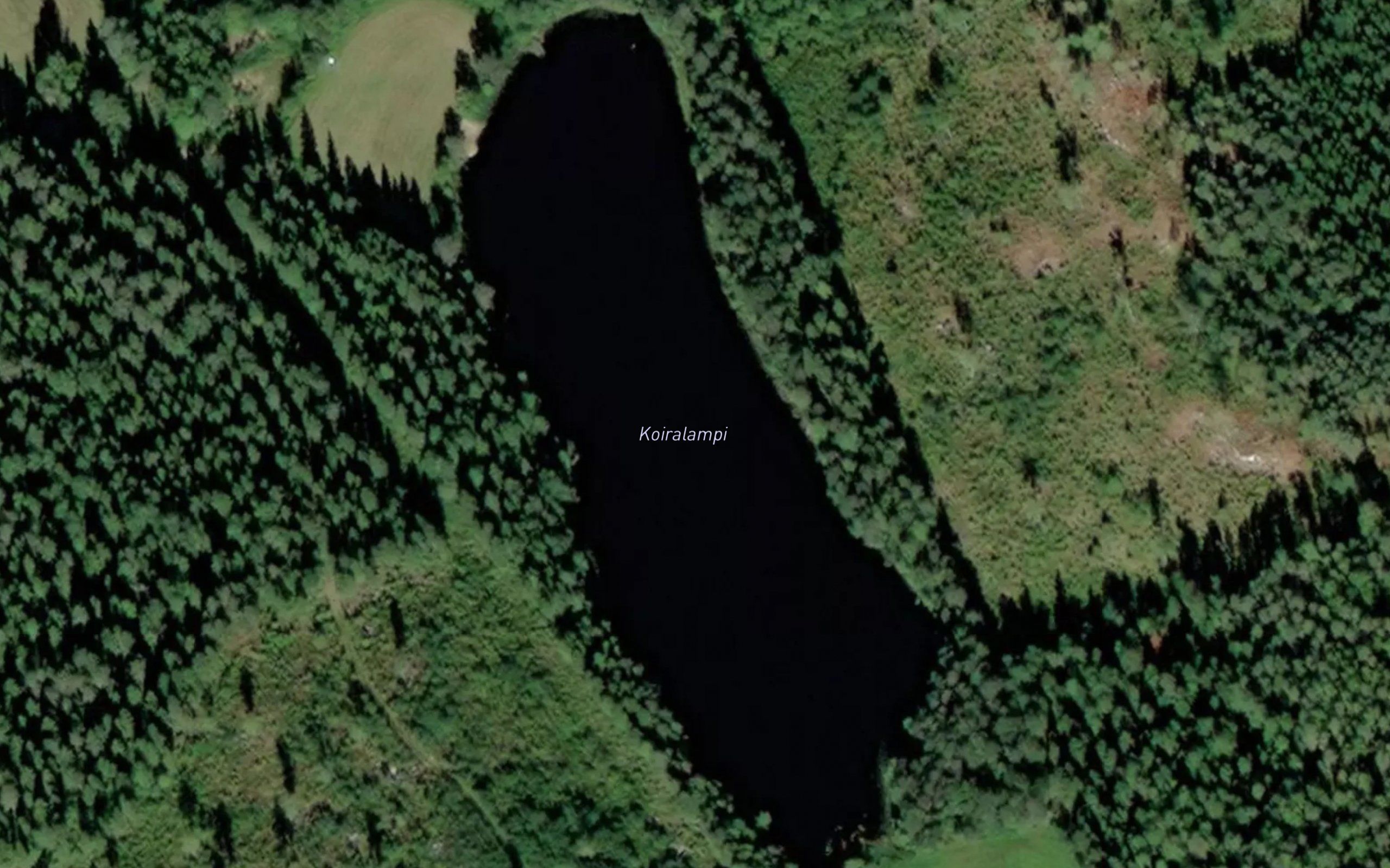 Koiralampi