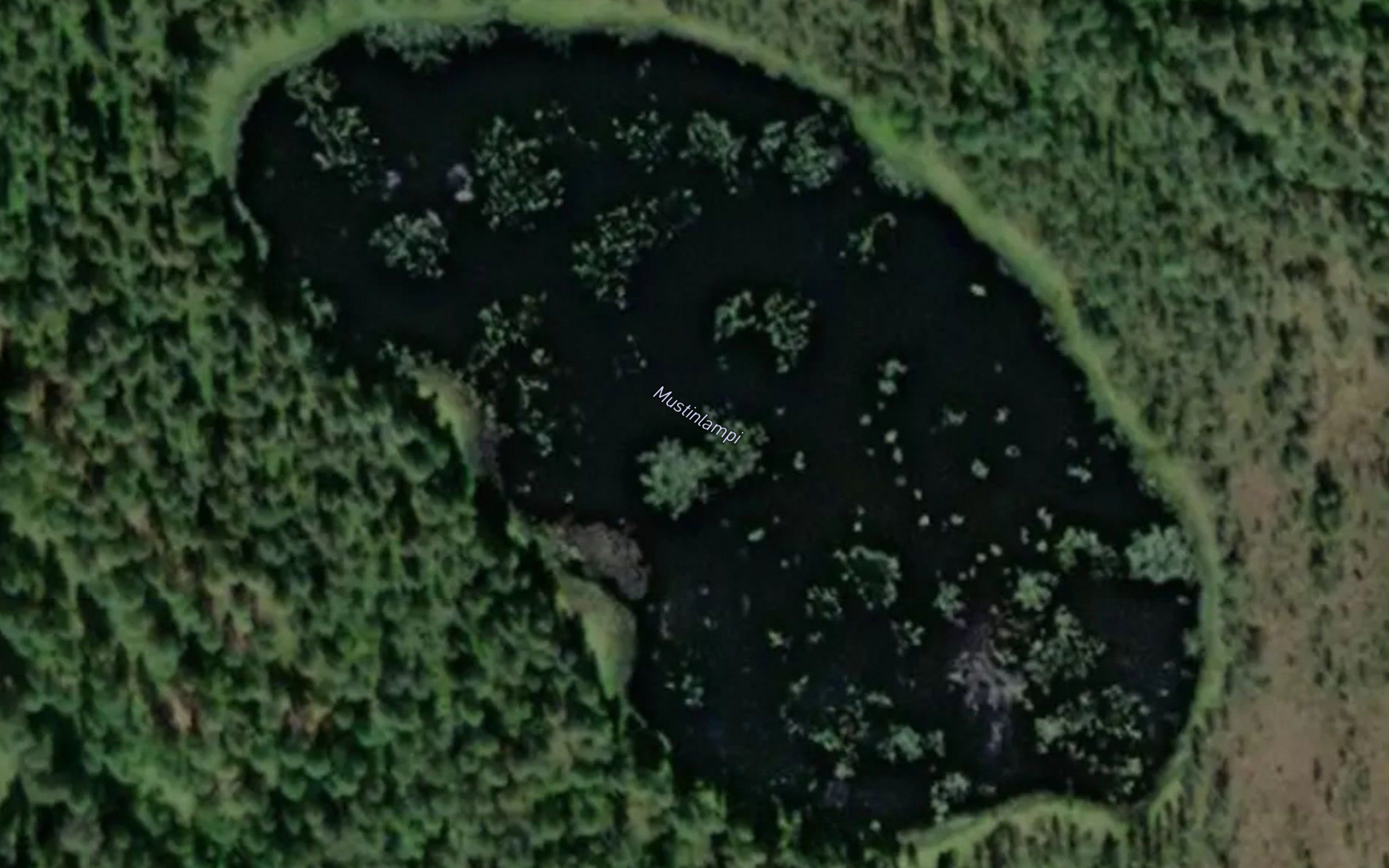 Mustinlampi