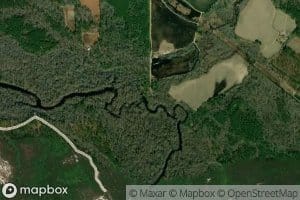 Camden Swamp