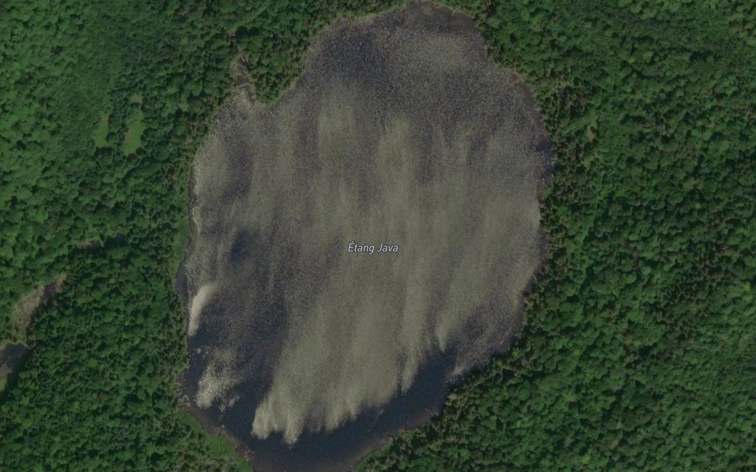 Etang Java