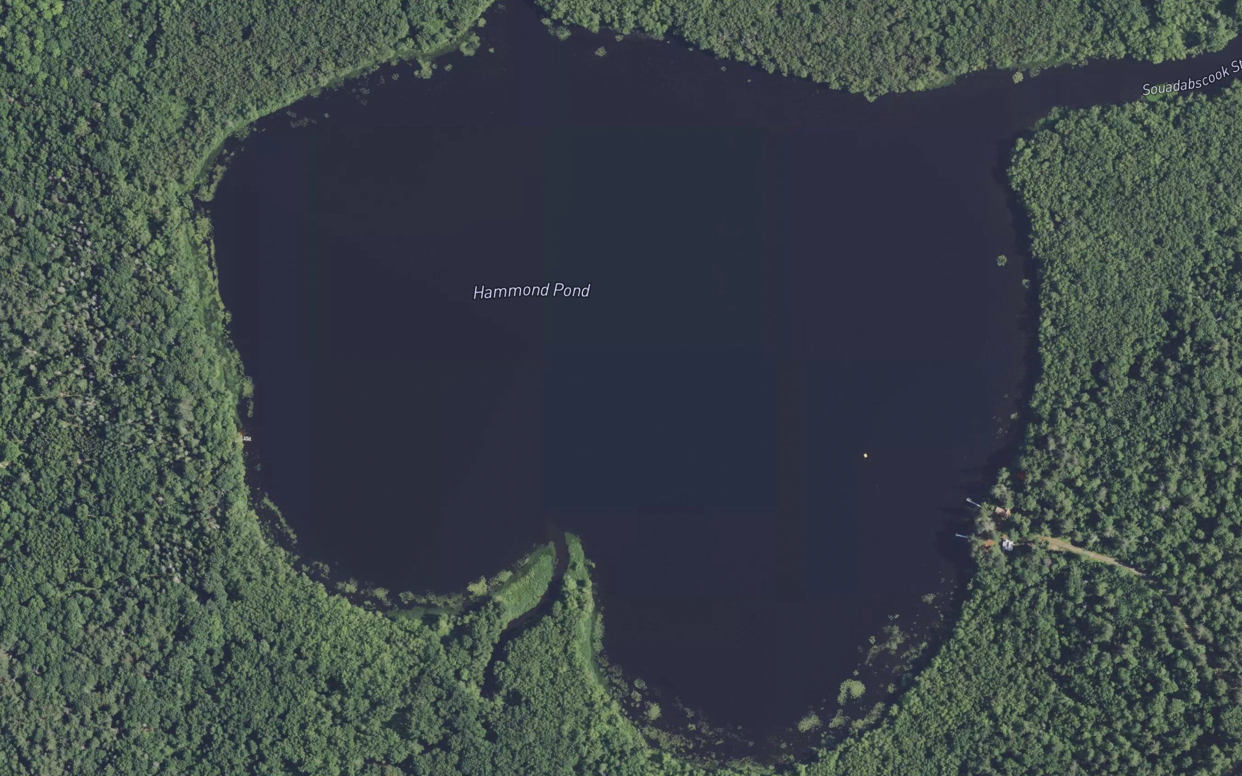 Hammond Pond