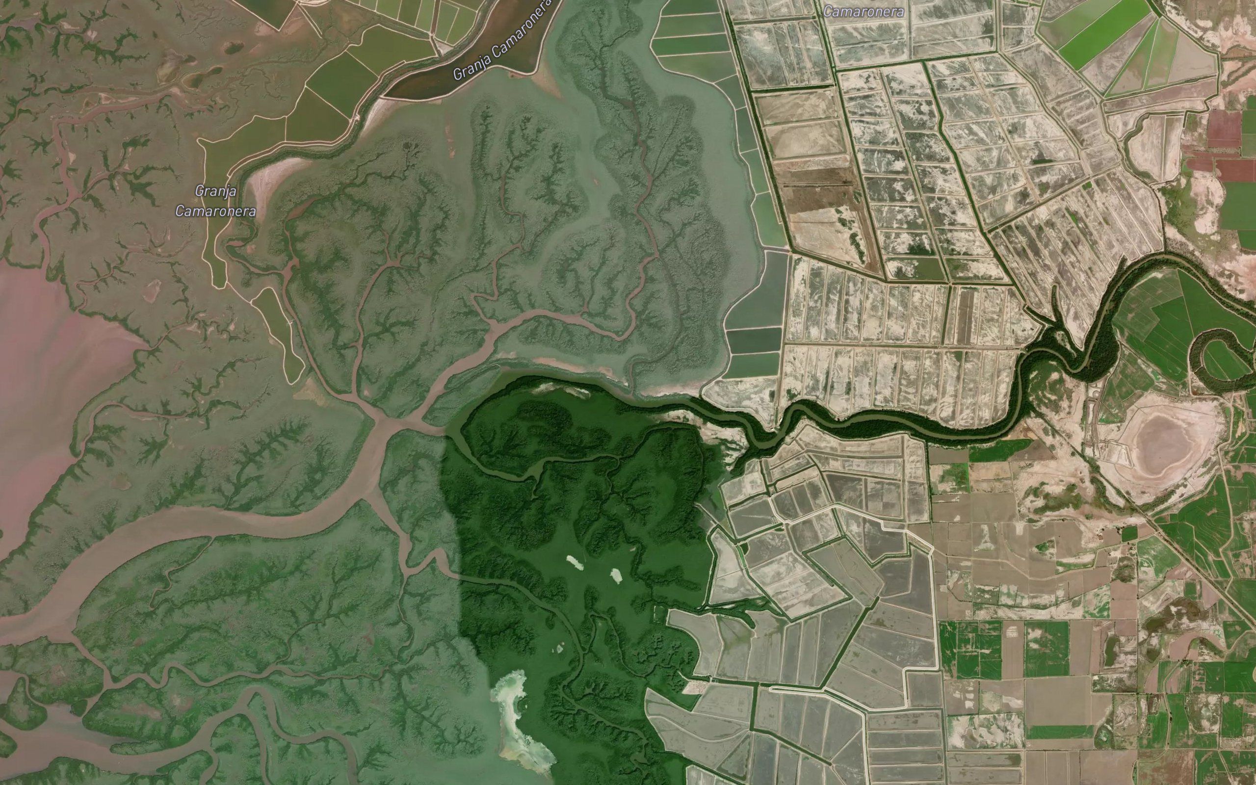Estero Manchon