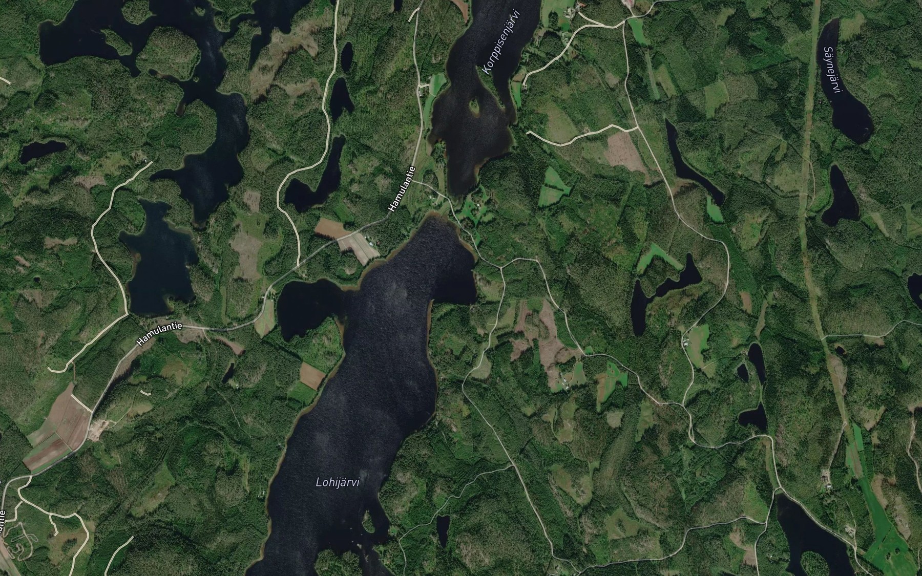 Satellite map of the Raapysapaanlahti