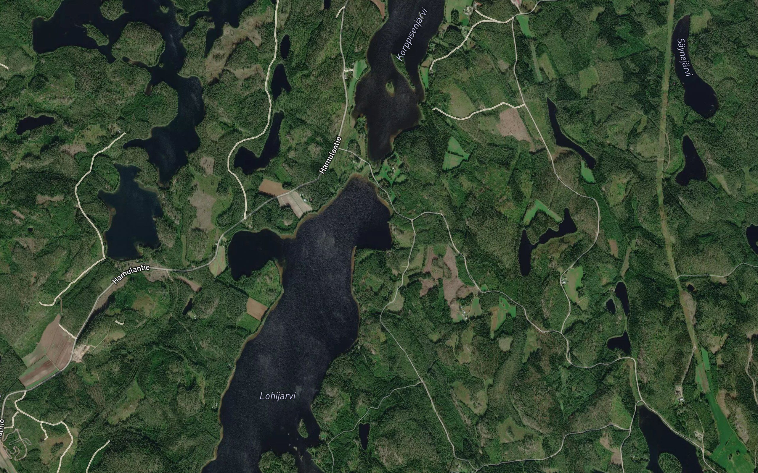 Raapysapaanlahti