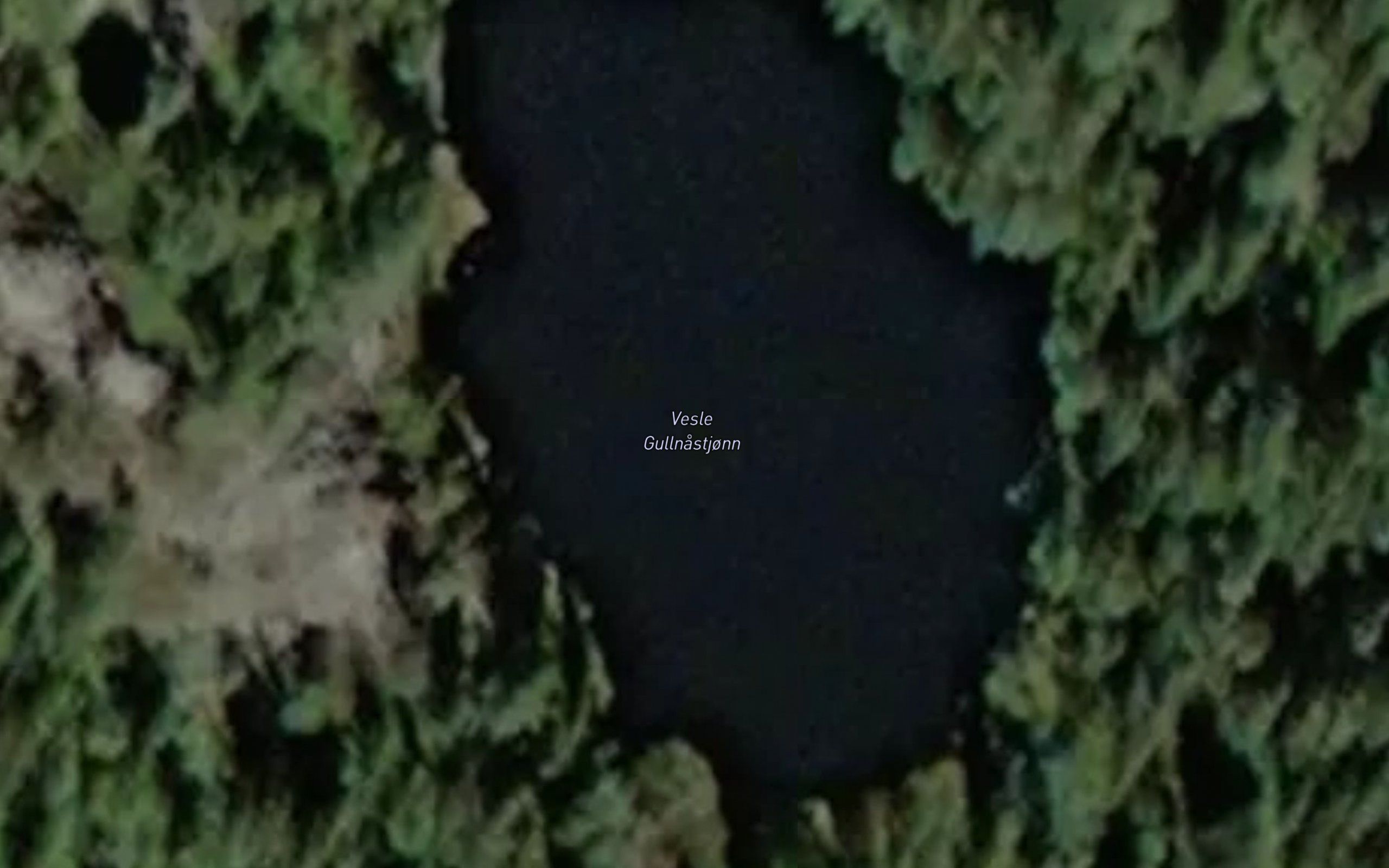 Vesle Gullnastjonn