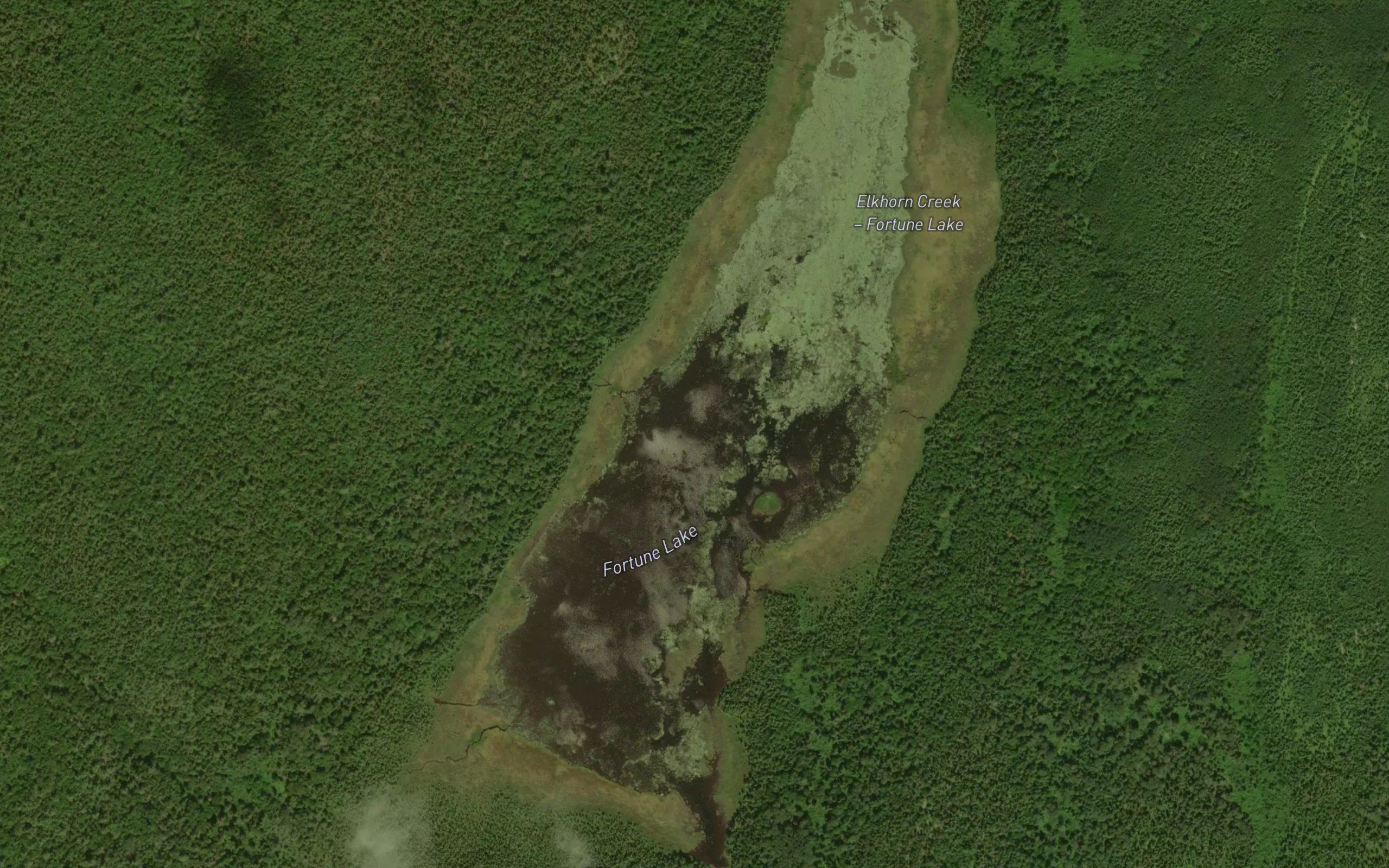 Fortune Lake