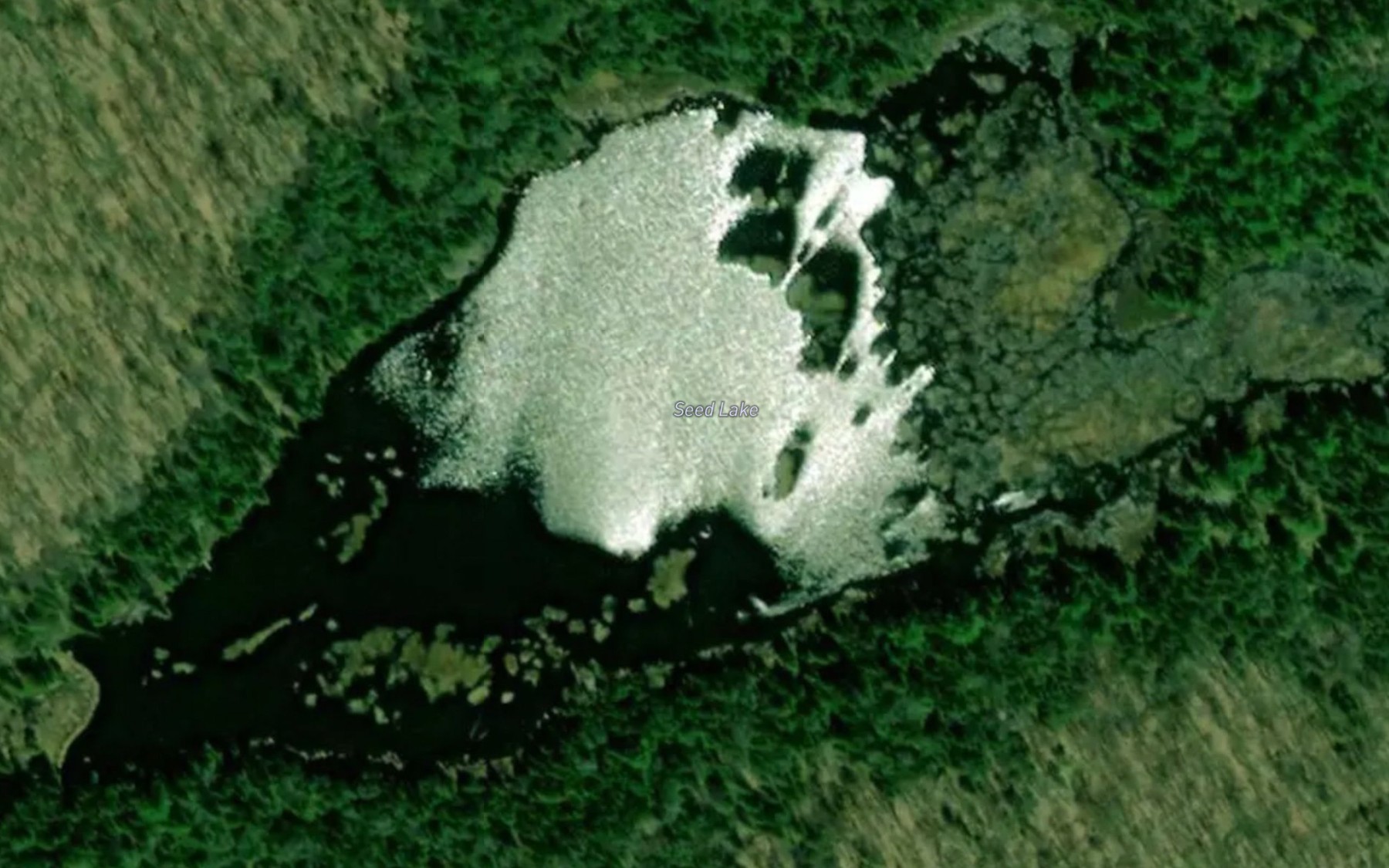 Satellite map of the Seed Lake