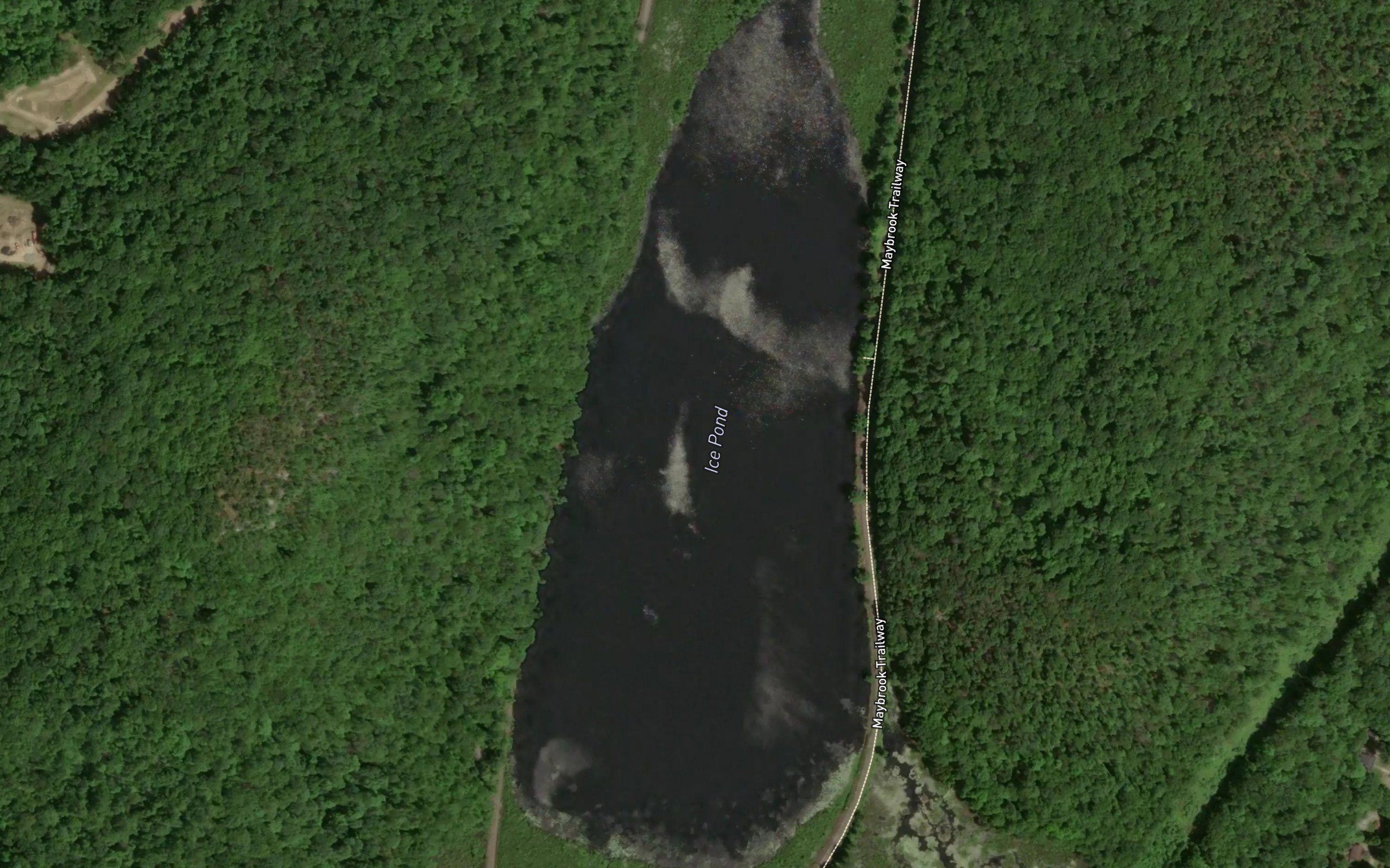 Ice Pond