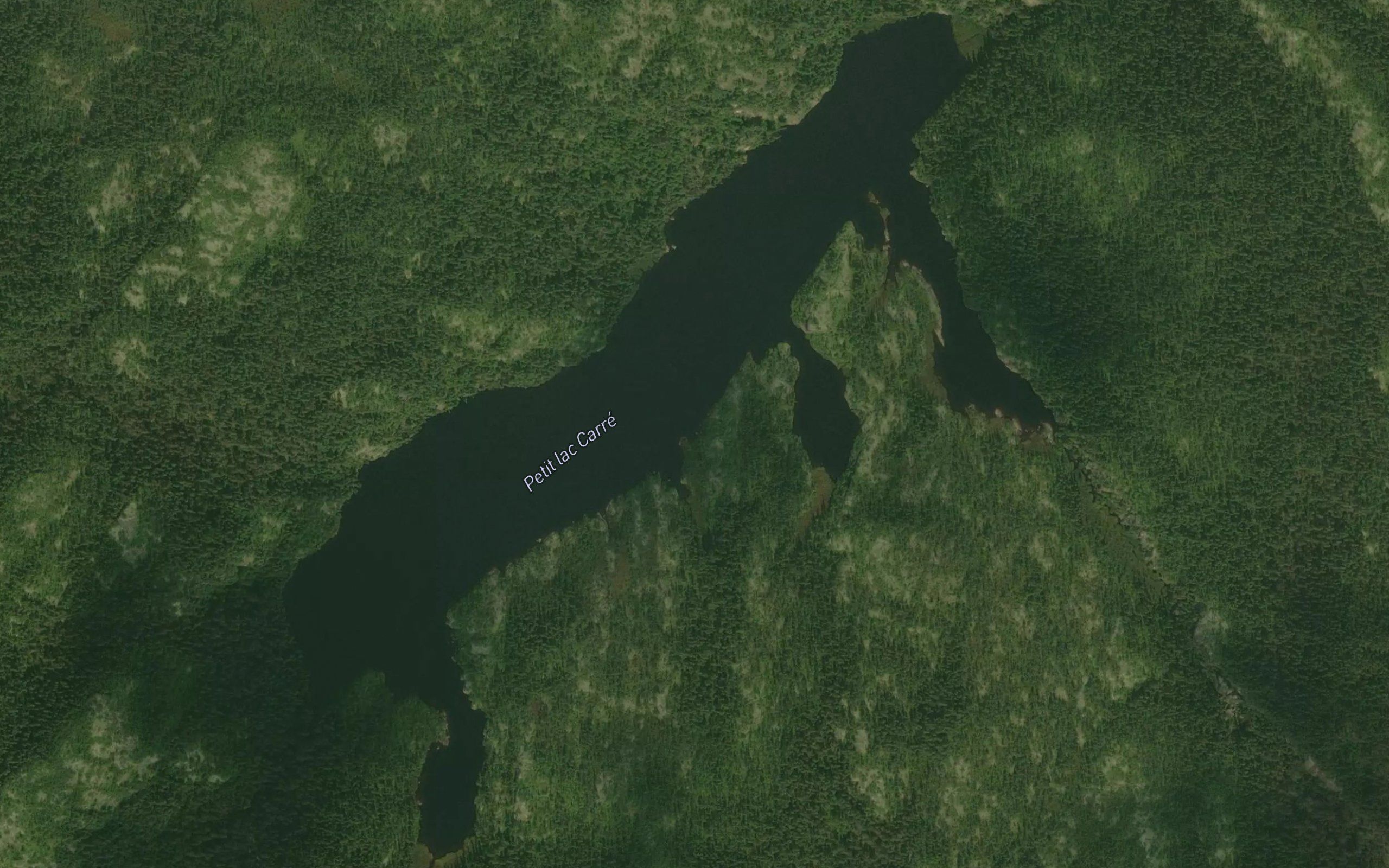 Petit lac Carre
