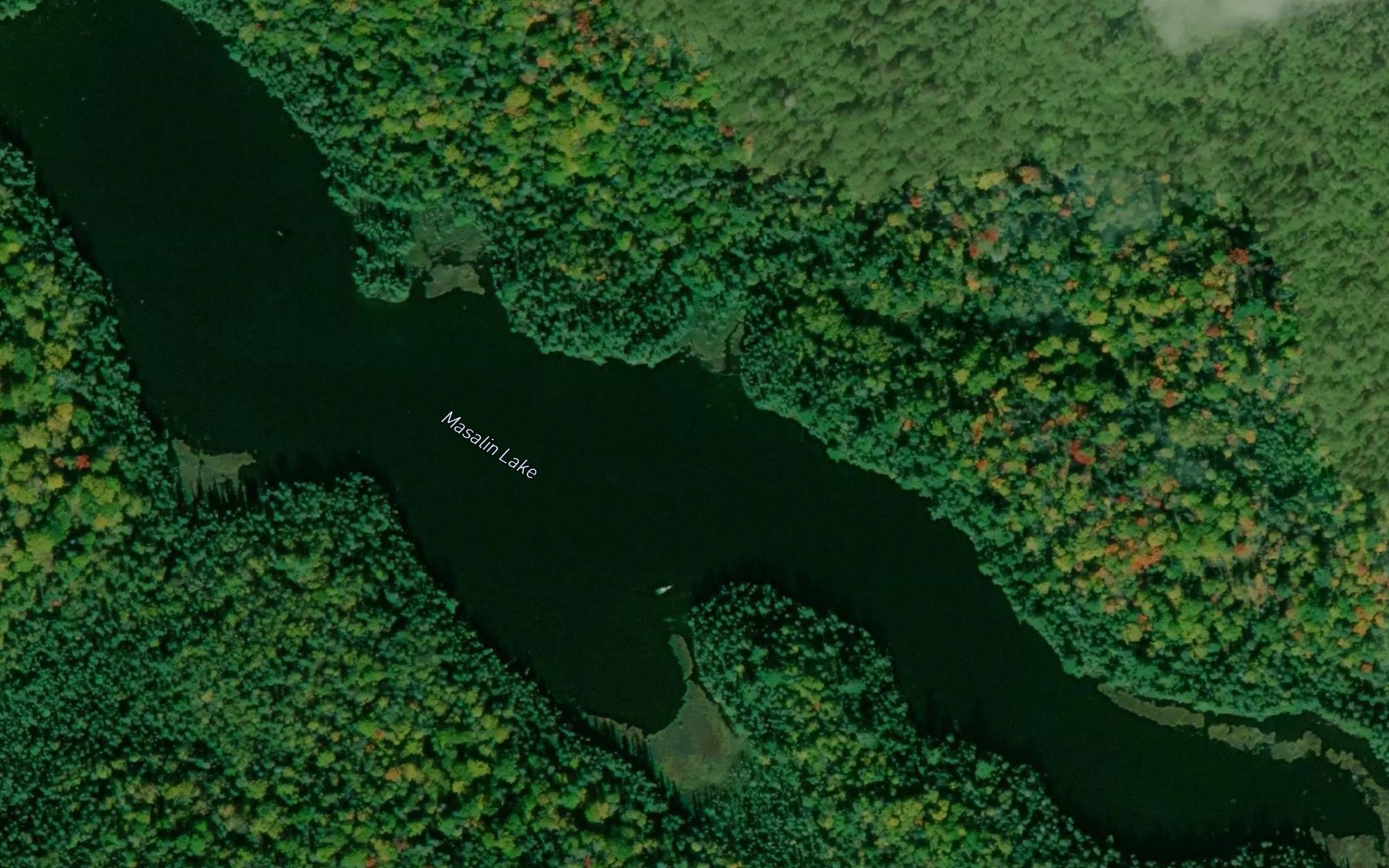 Satellite map of the Masalin Lake