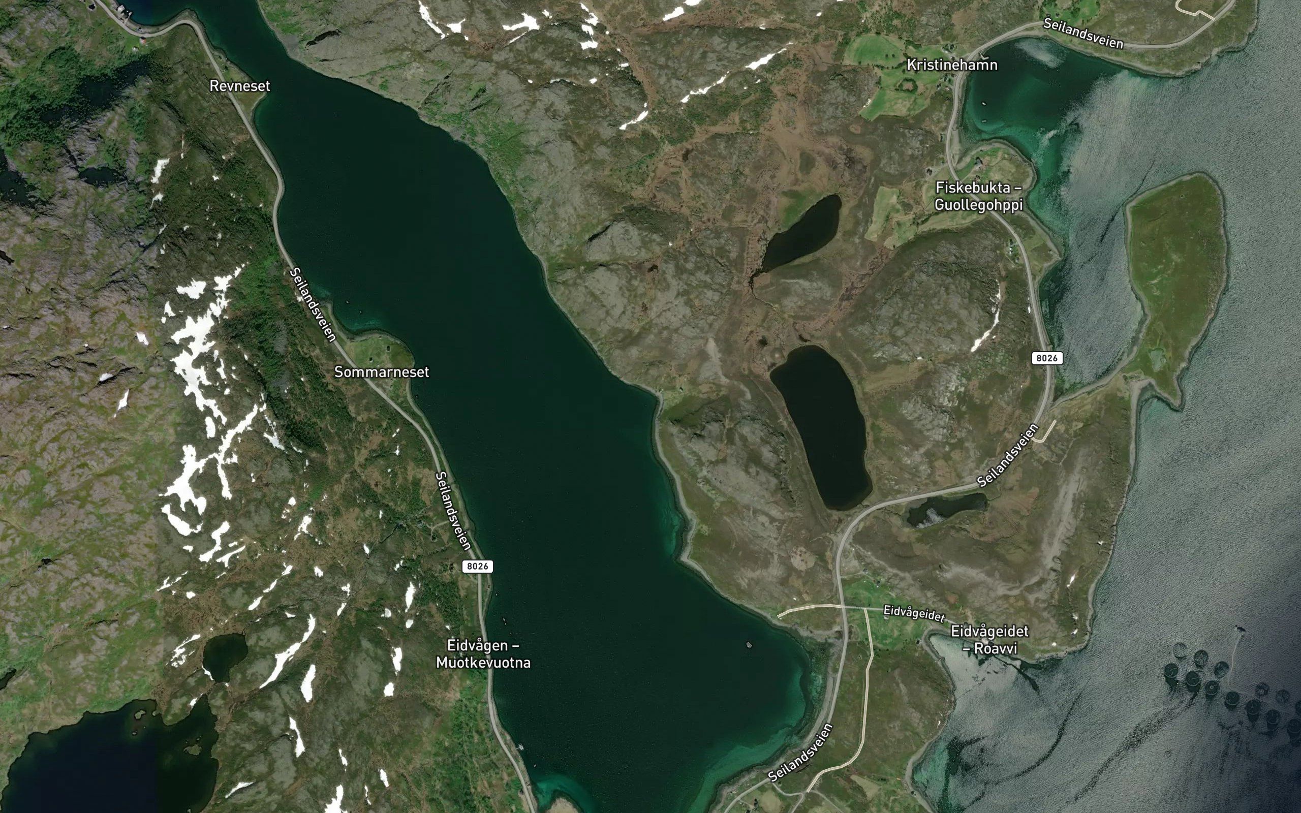 Karvika