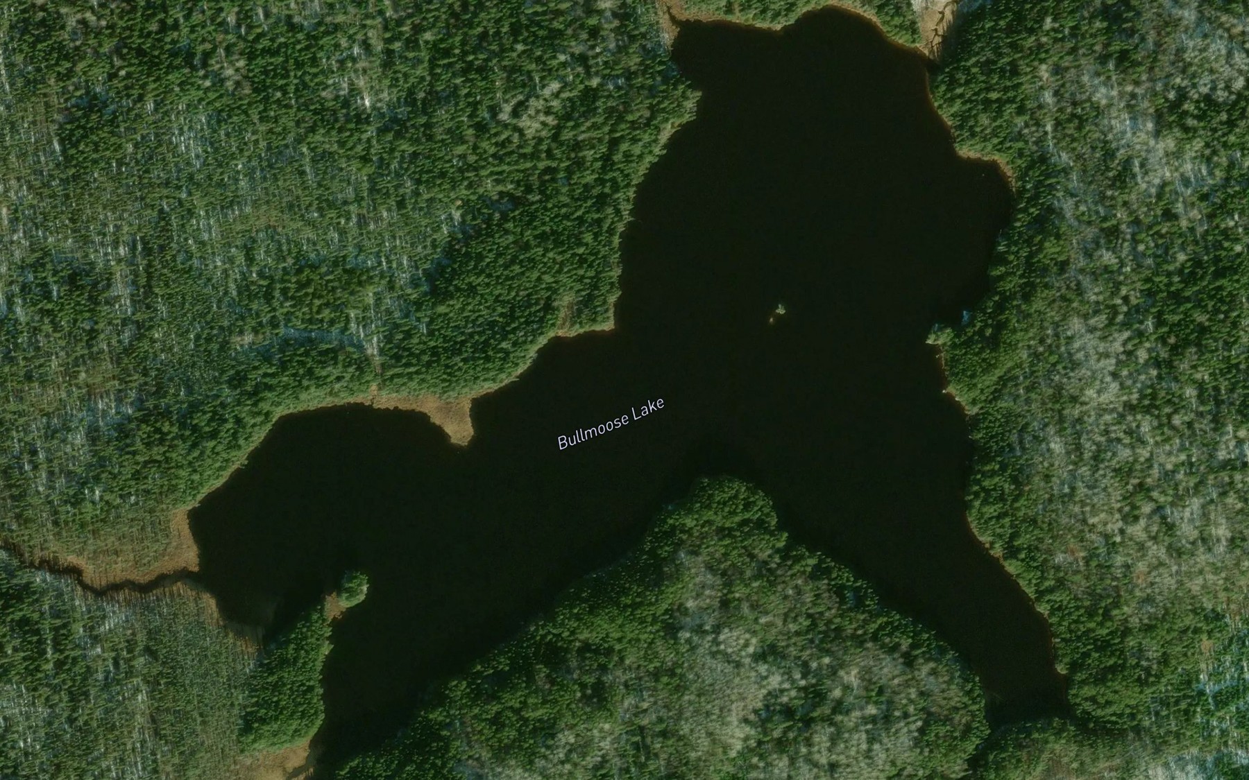 Satellite map of the Bullmoose Lake