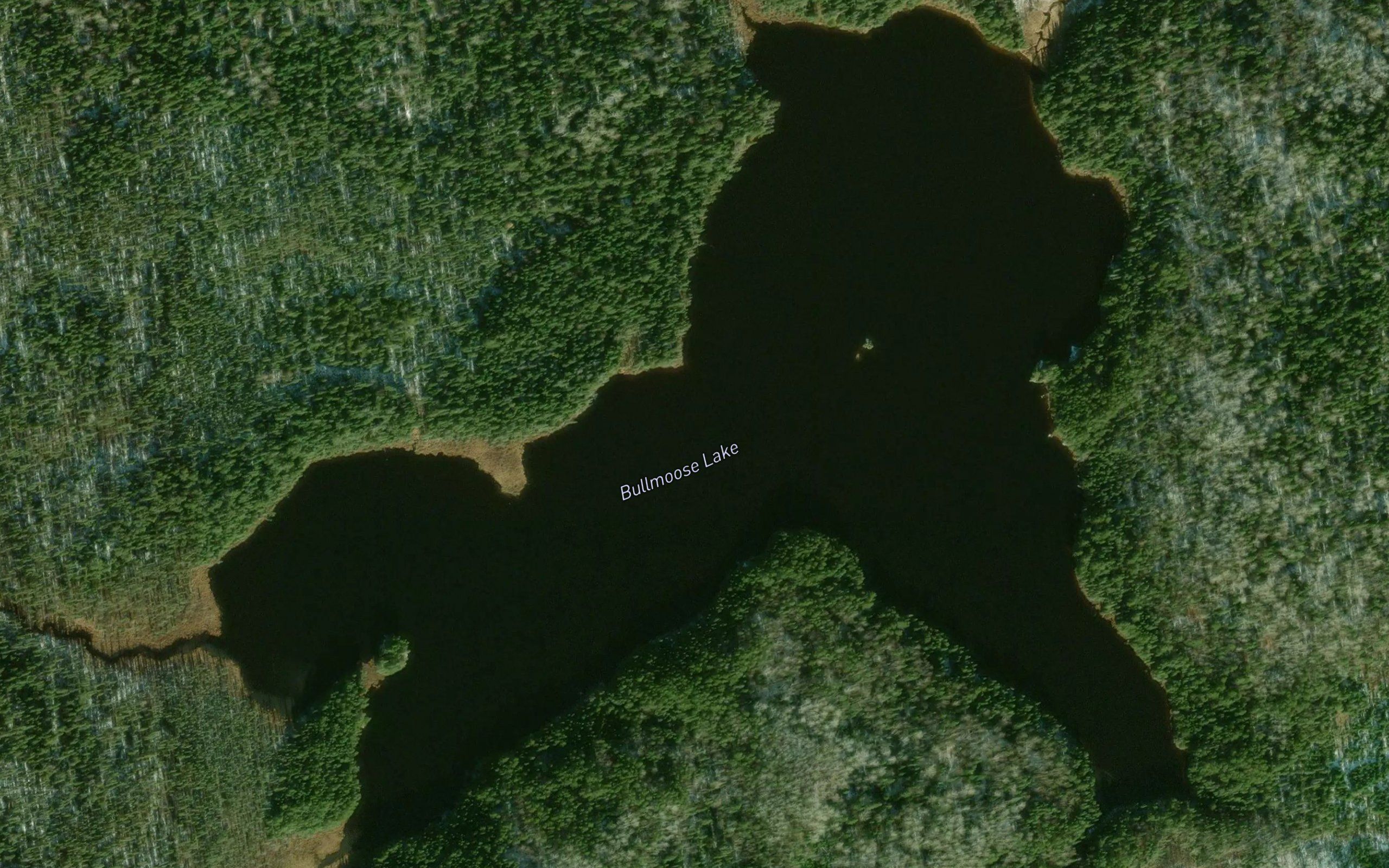 Bullmoose Lake