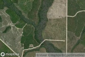 Reedy Creek