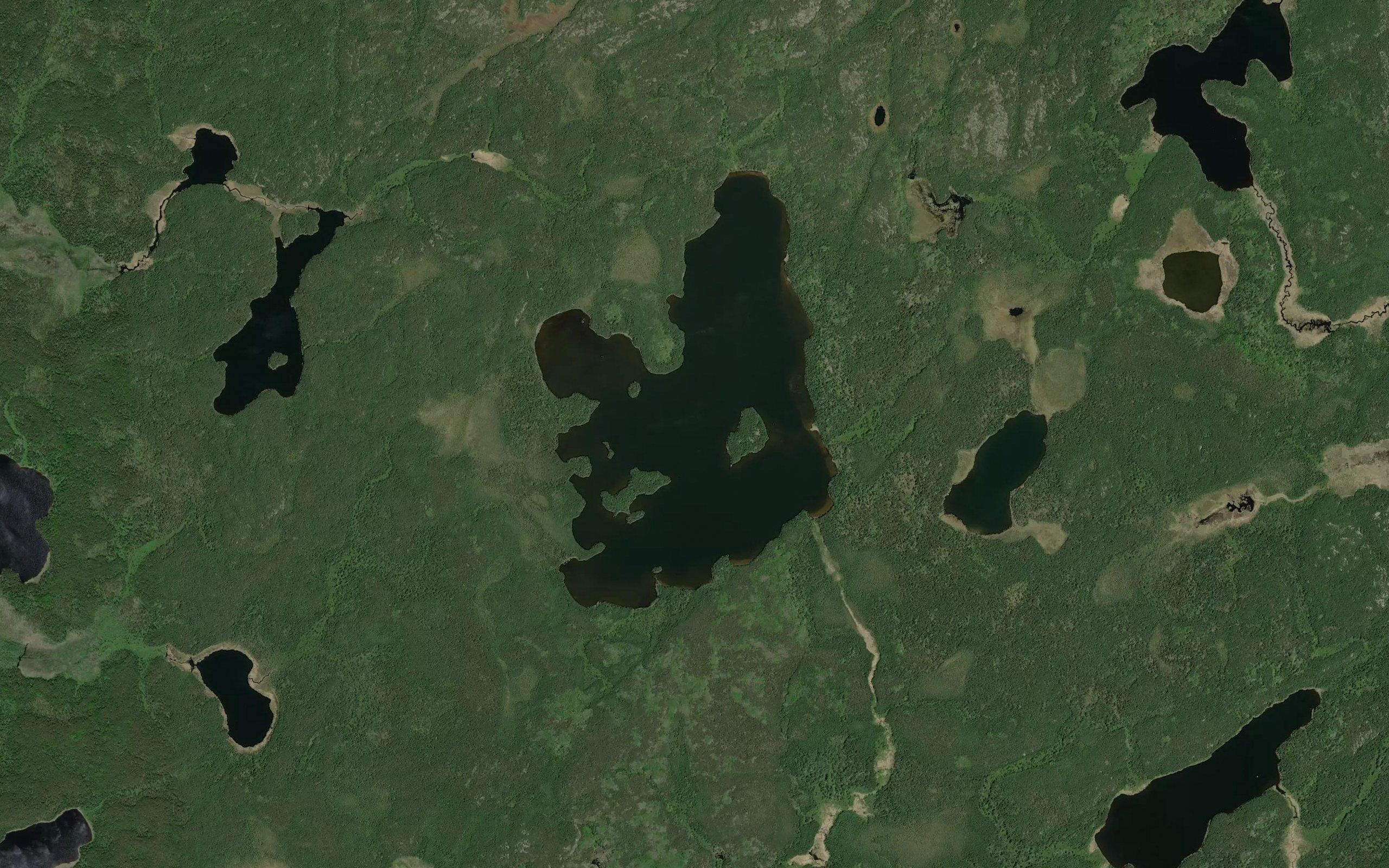 Usick Lake