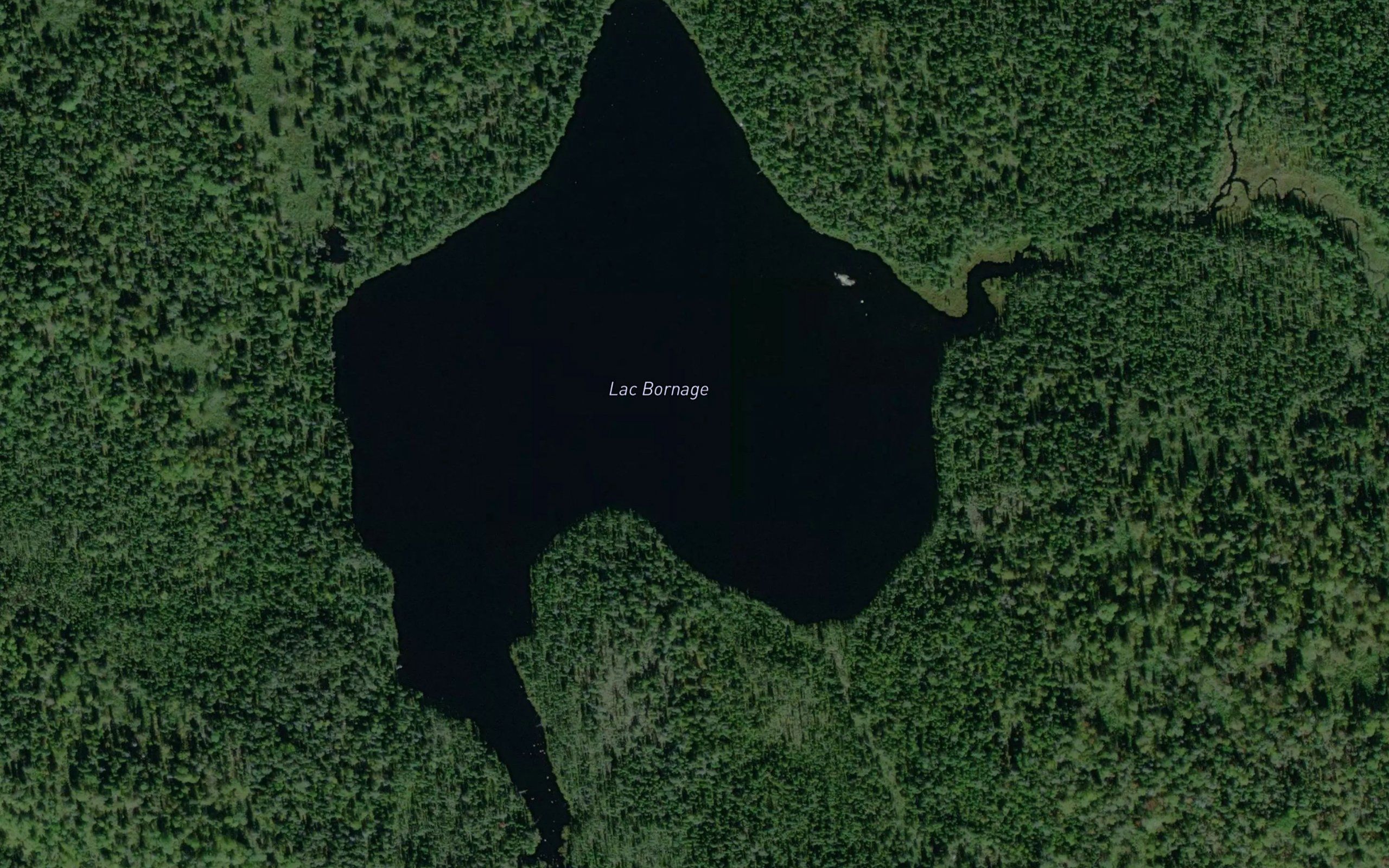 Lac Bornage