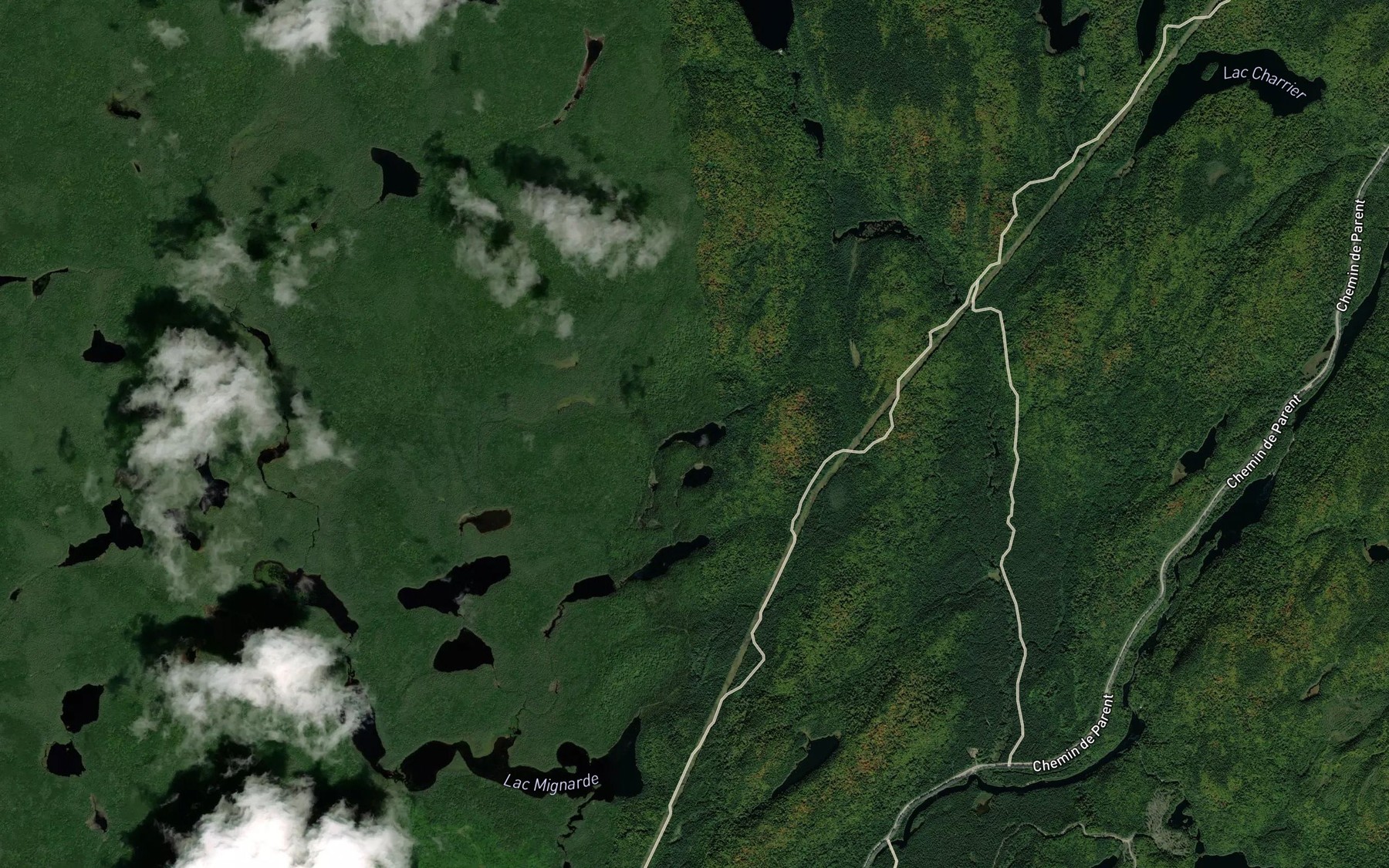 Satellite map of the Petit lac de l'Alouette