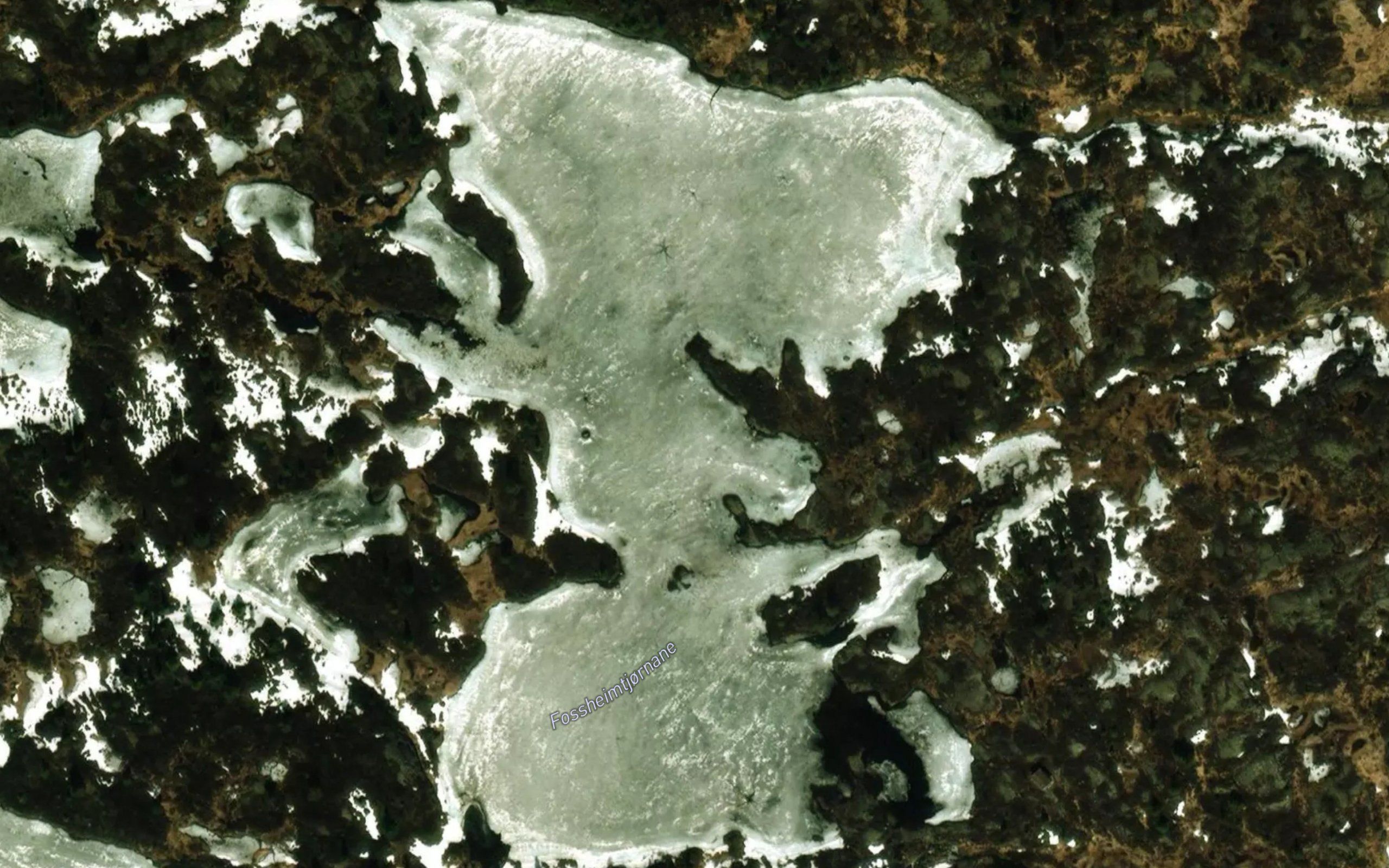 Fossheimtjornane
