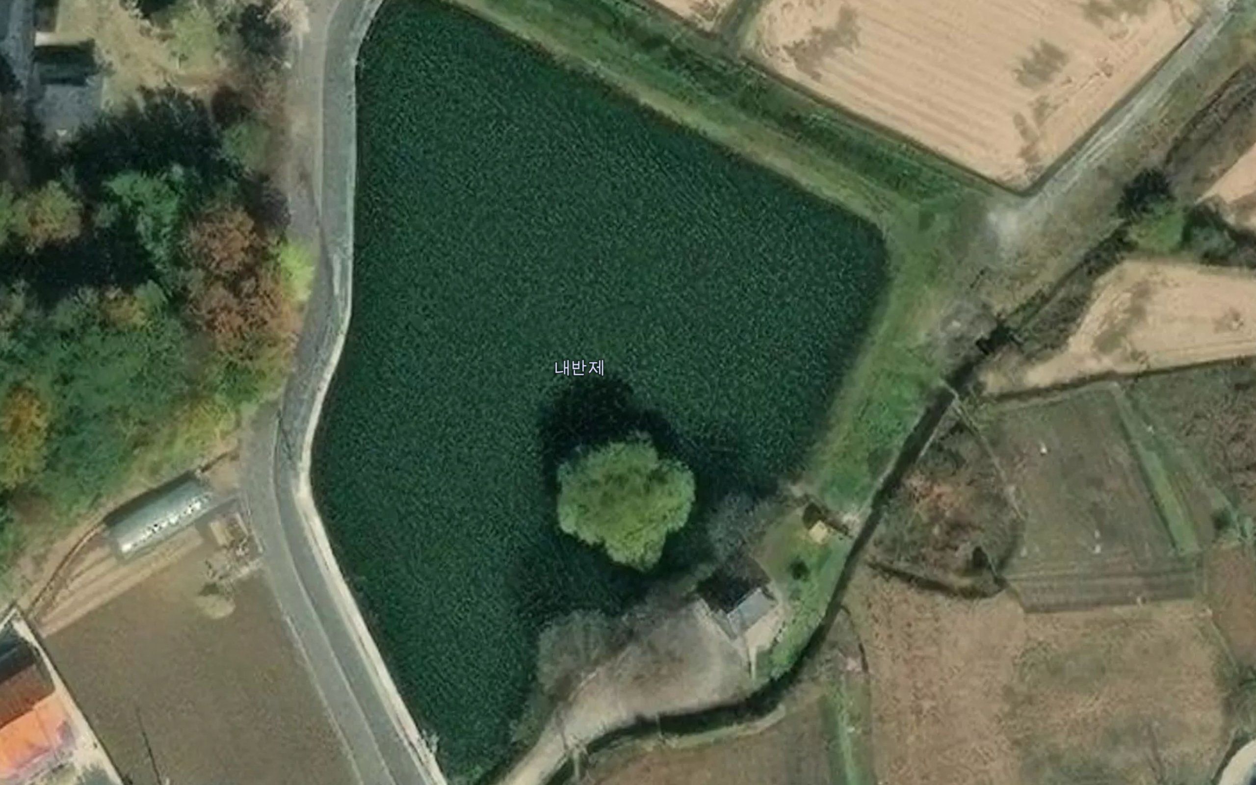 Naebanje