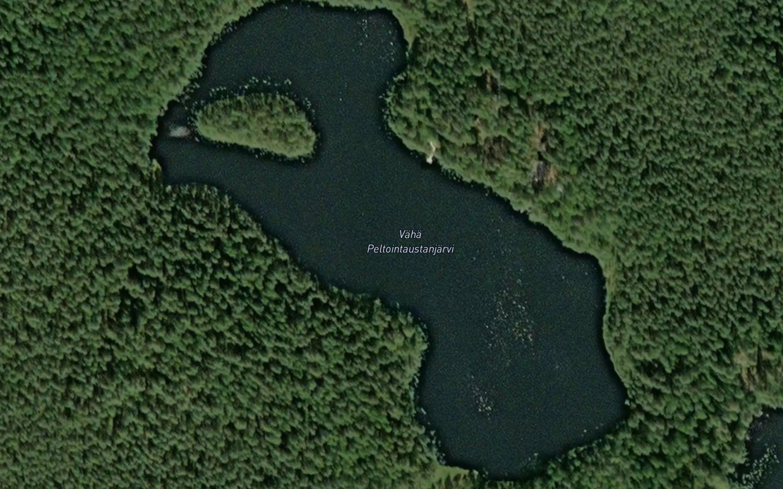 Vaha Peltointaustanjarvi