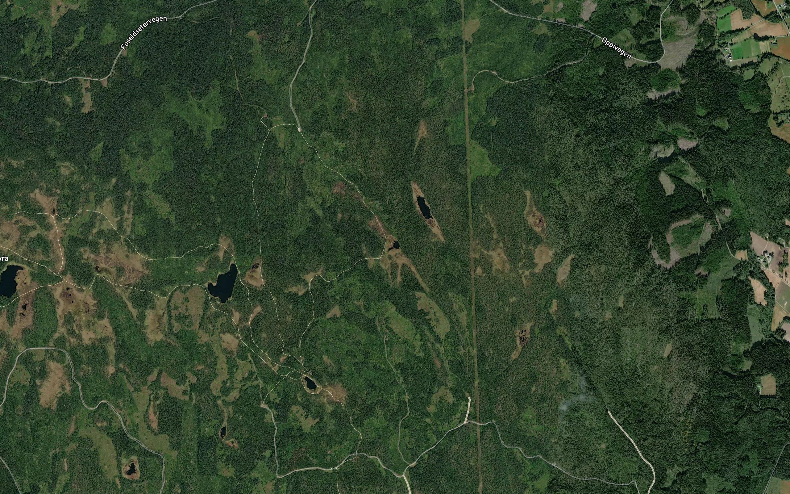 Langgardstjernet
