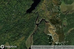 Mule Creek