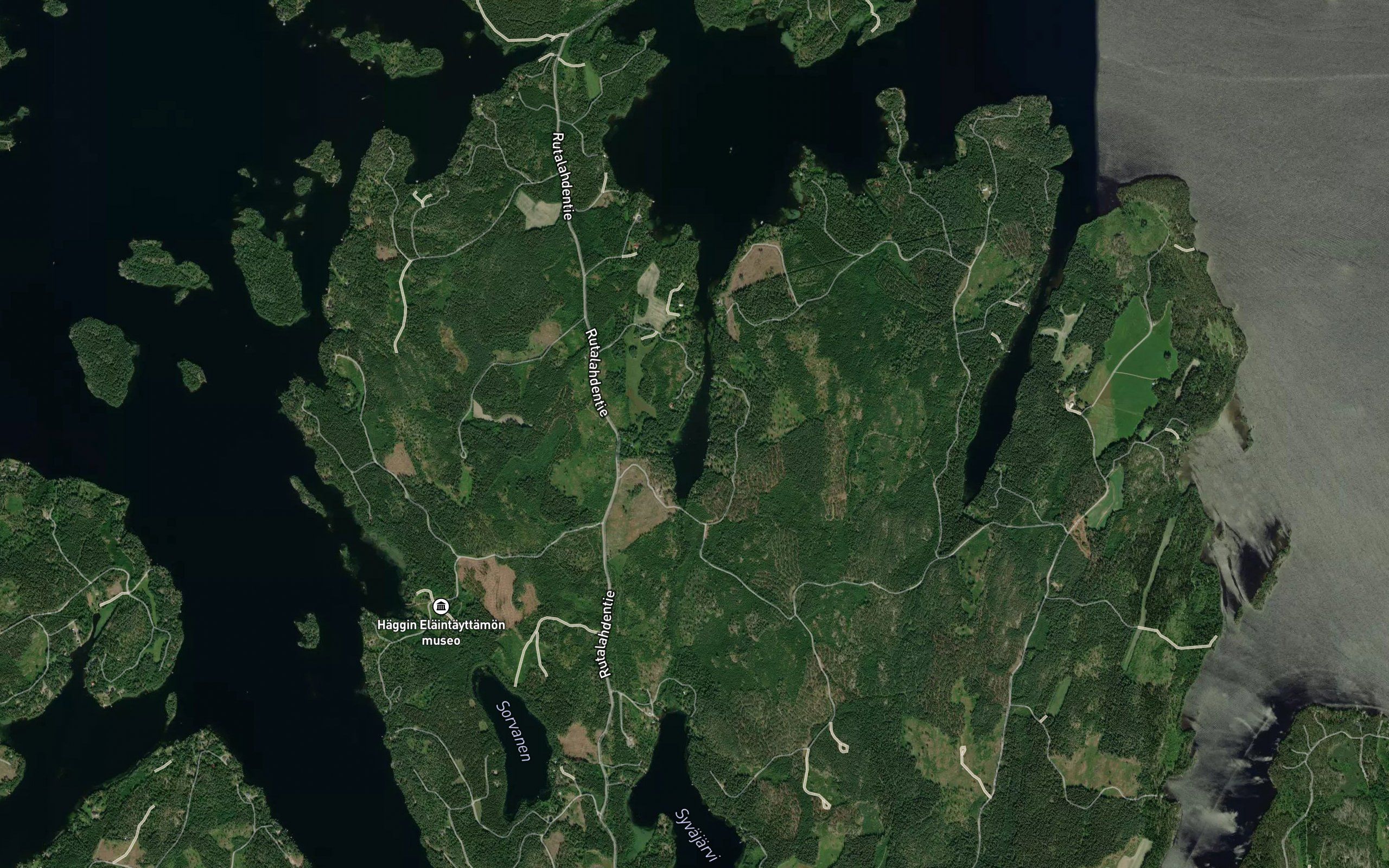 Ruokosalmenpohja