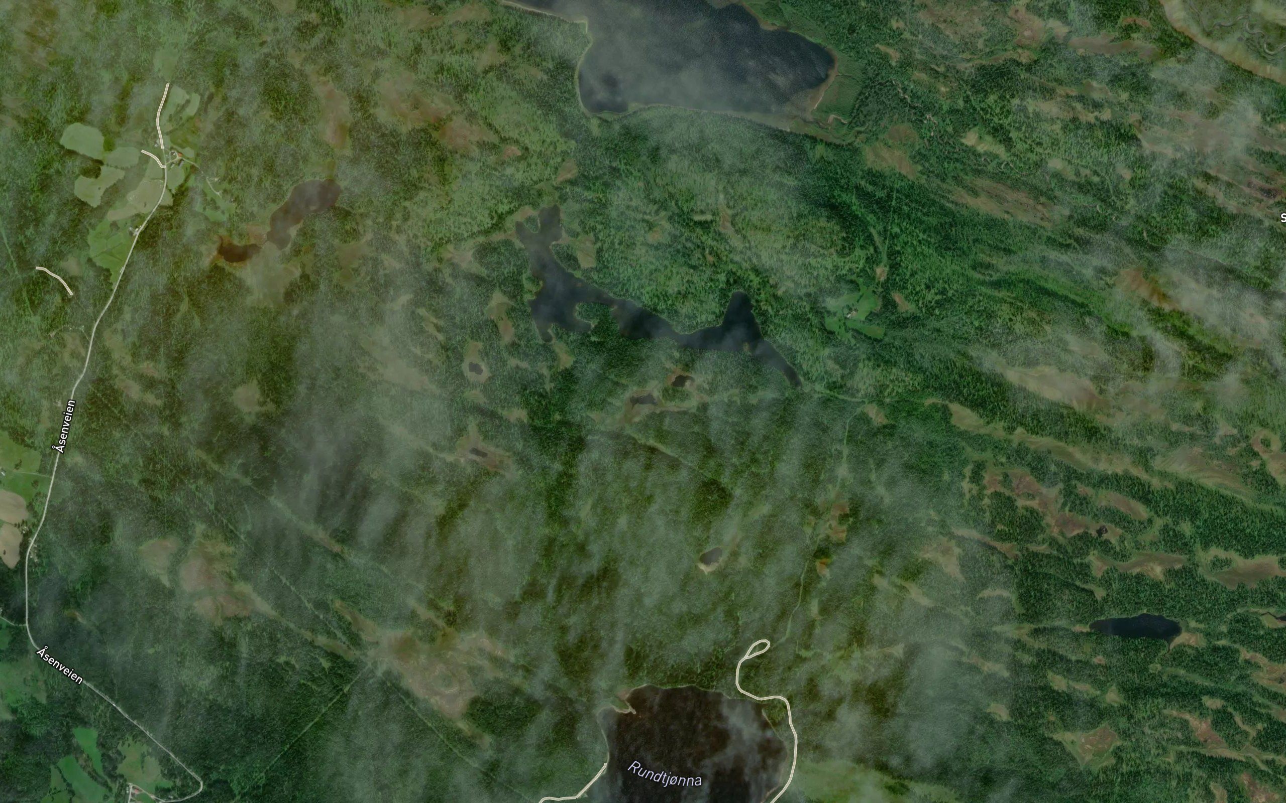 Lomtjonna