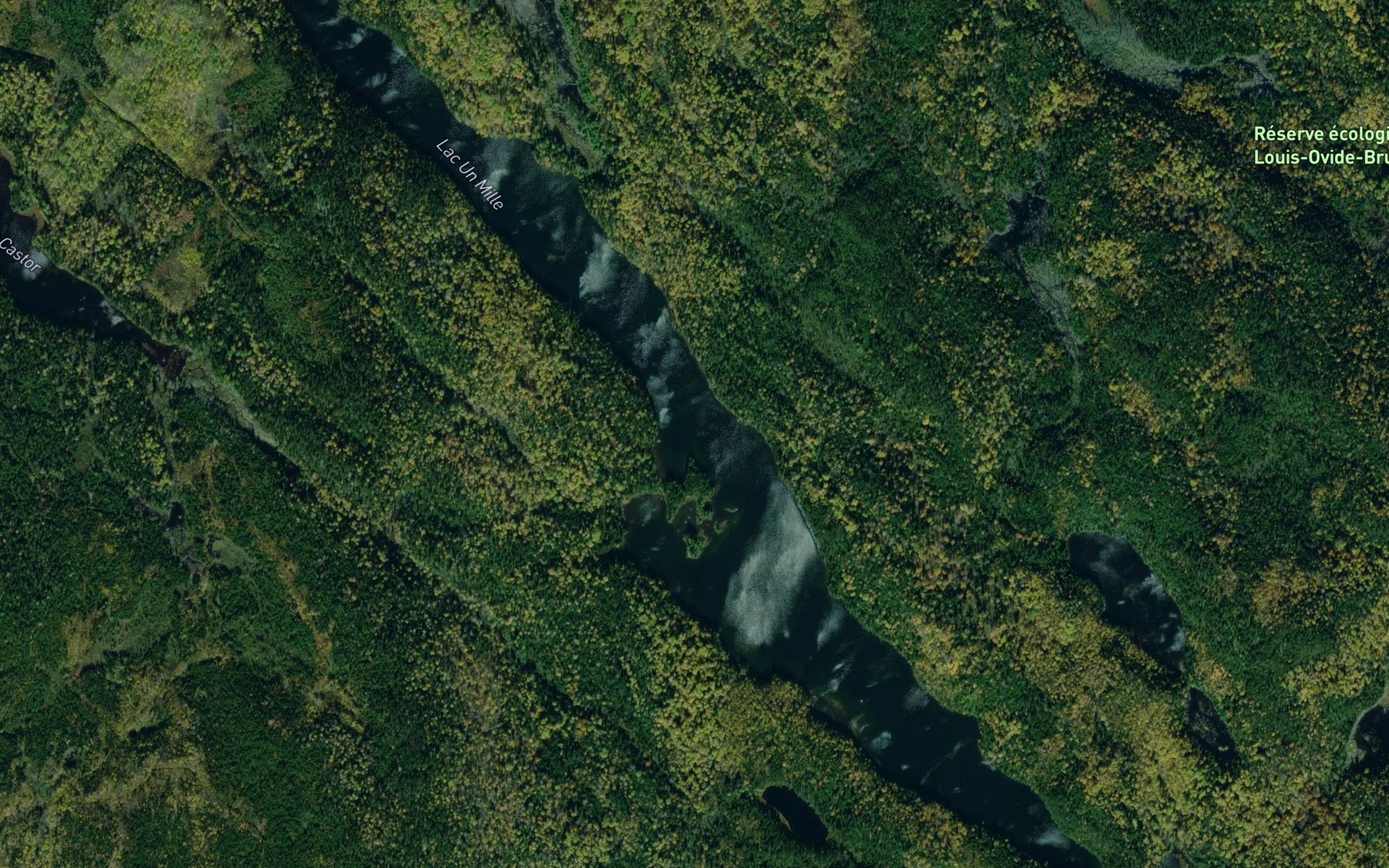 Satellite map of the Lac Un Mille