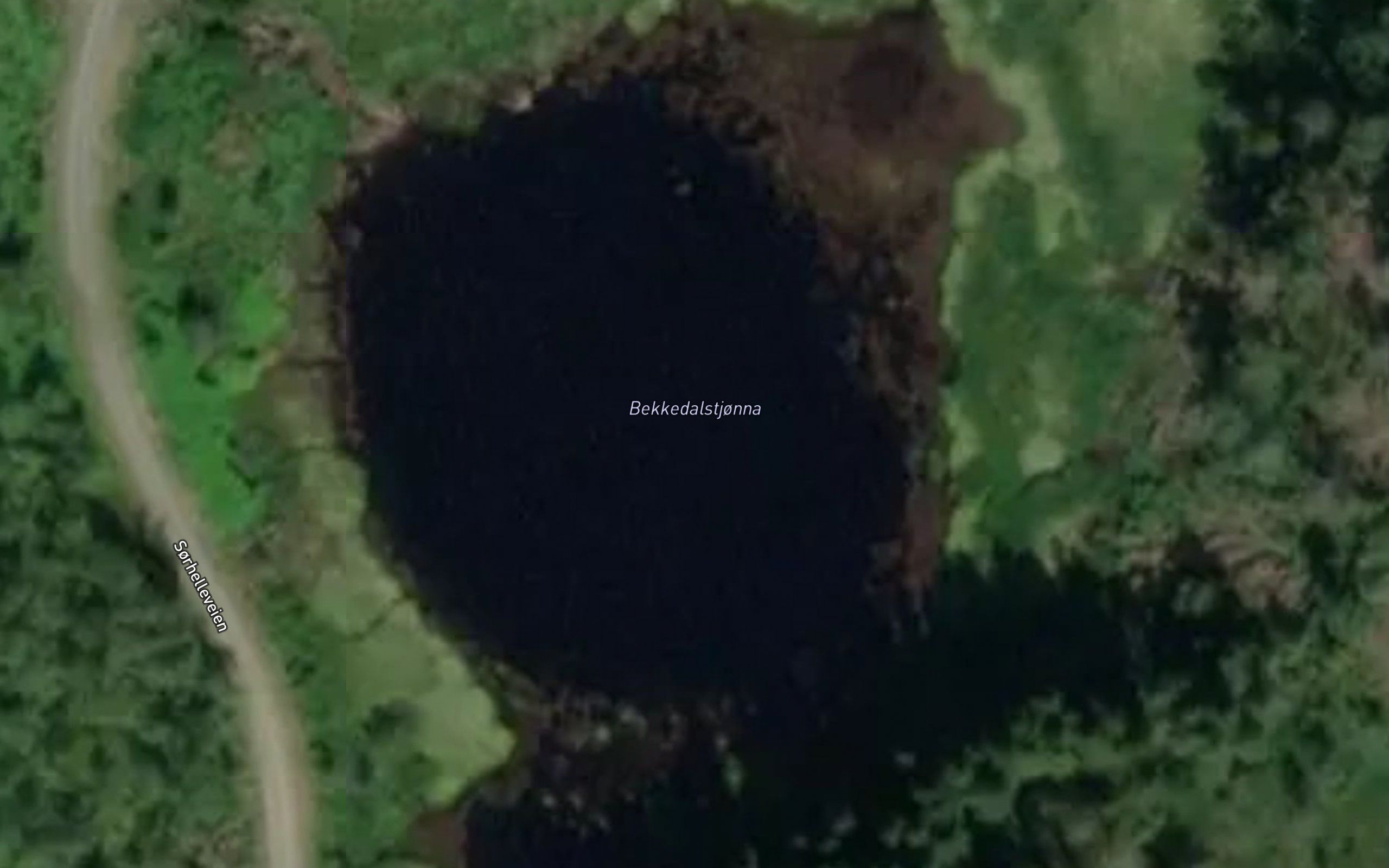 Bekkedalstjonna