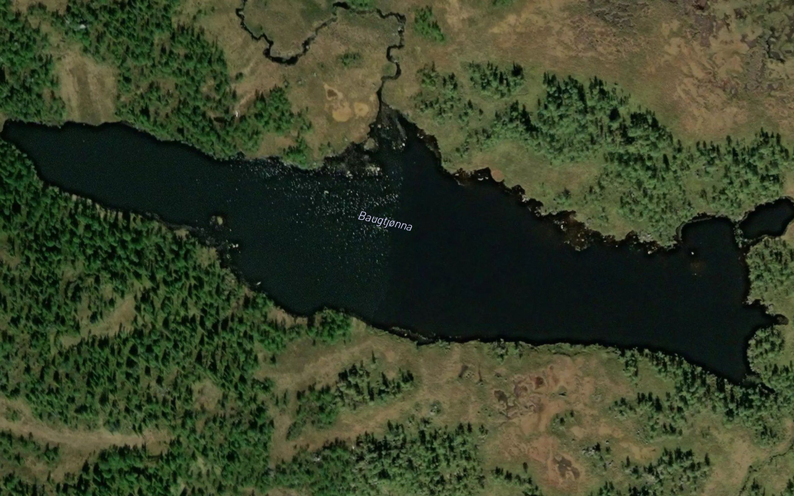 Baugtjorna