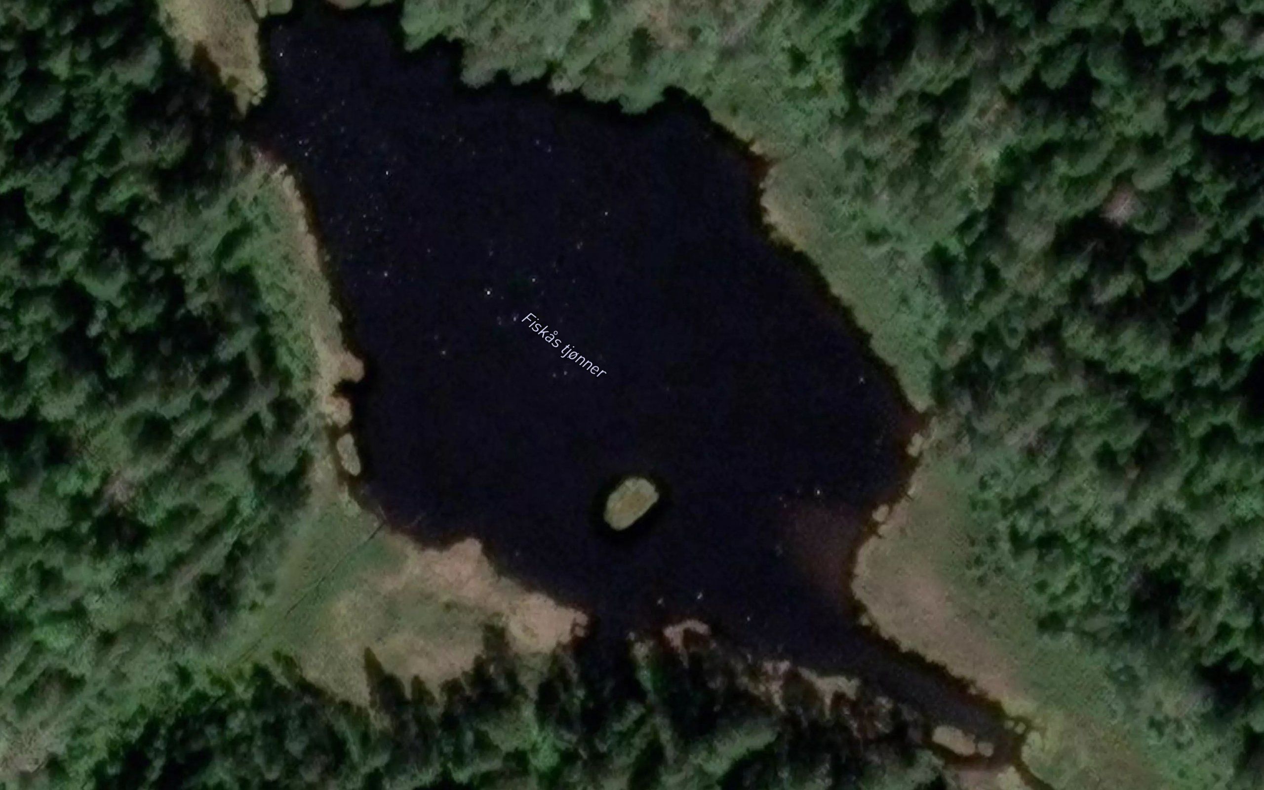 Fiskas tjonner