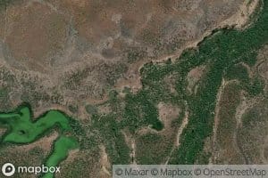 Turpentine Creek