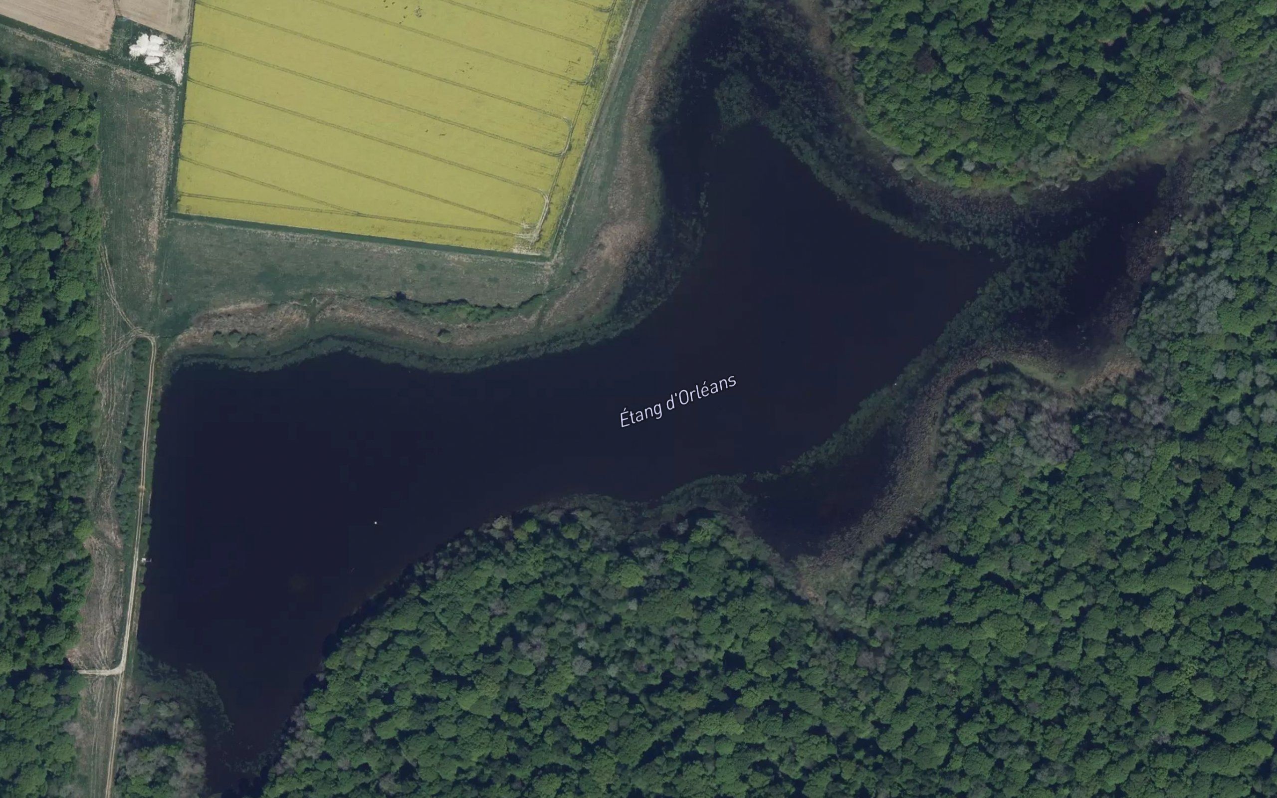 Etang d'Orleans