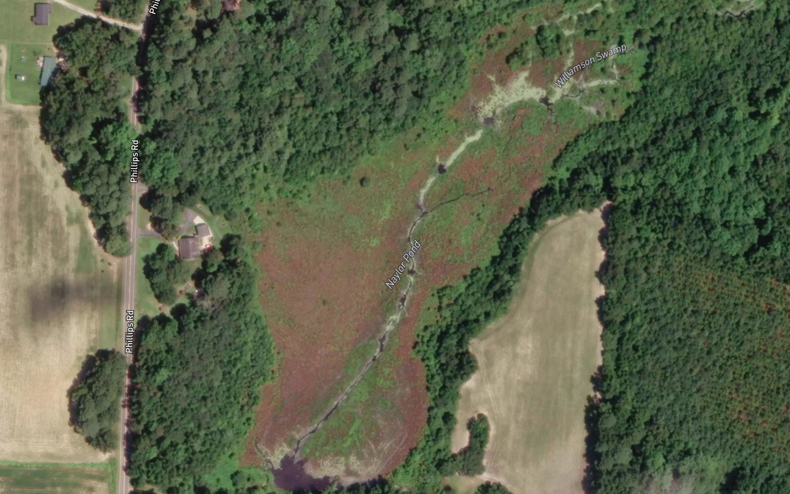 Naylor Pond