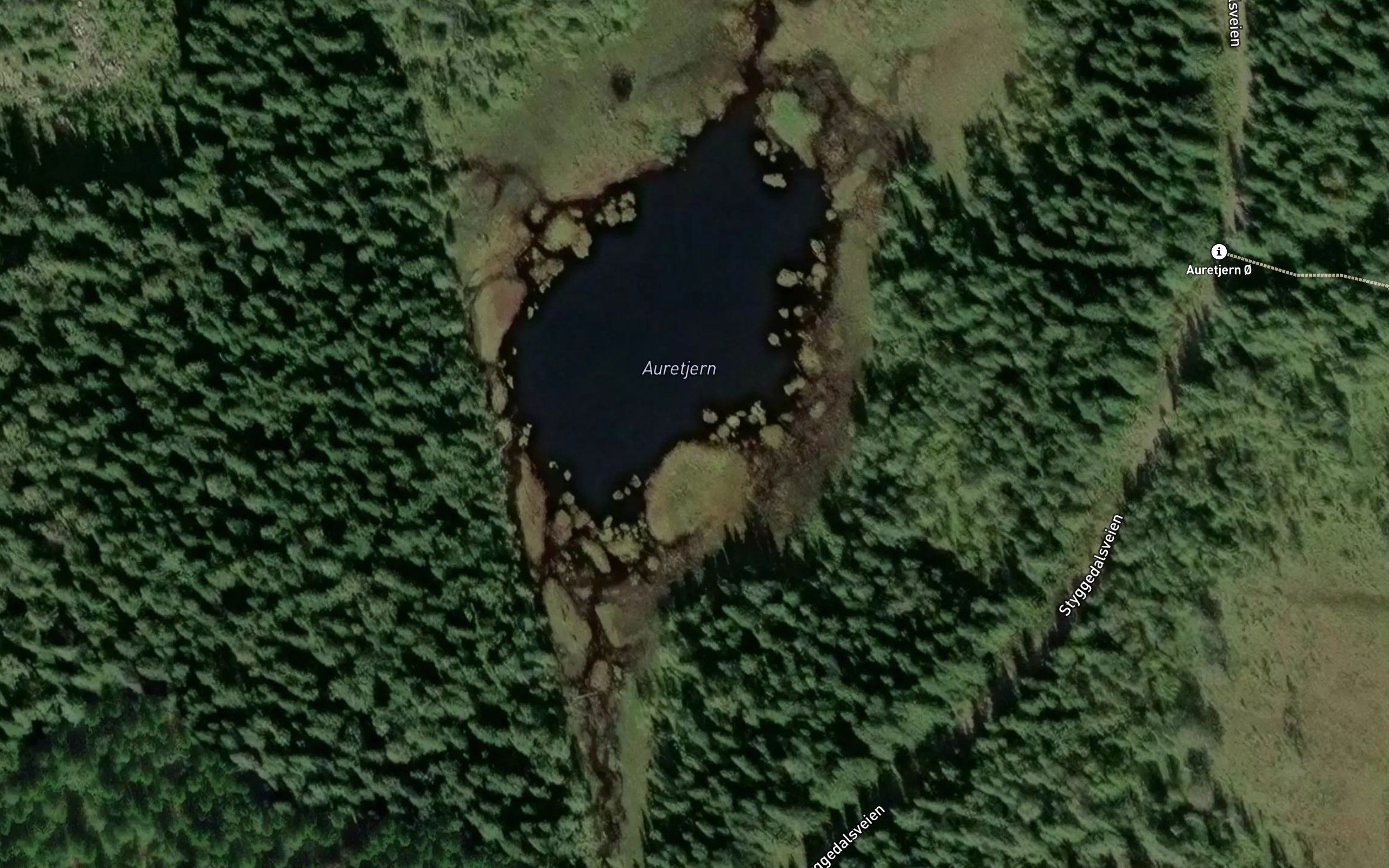Auretjern
