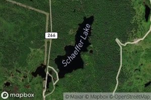 Schaeffer Lake
