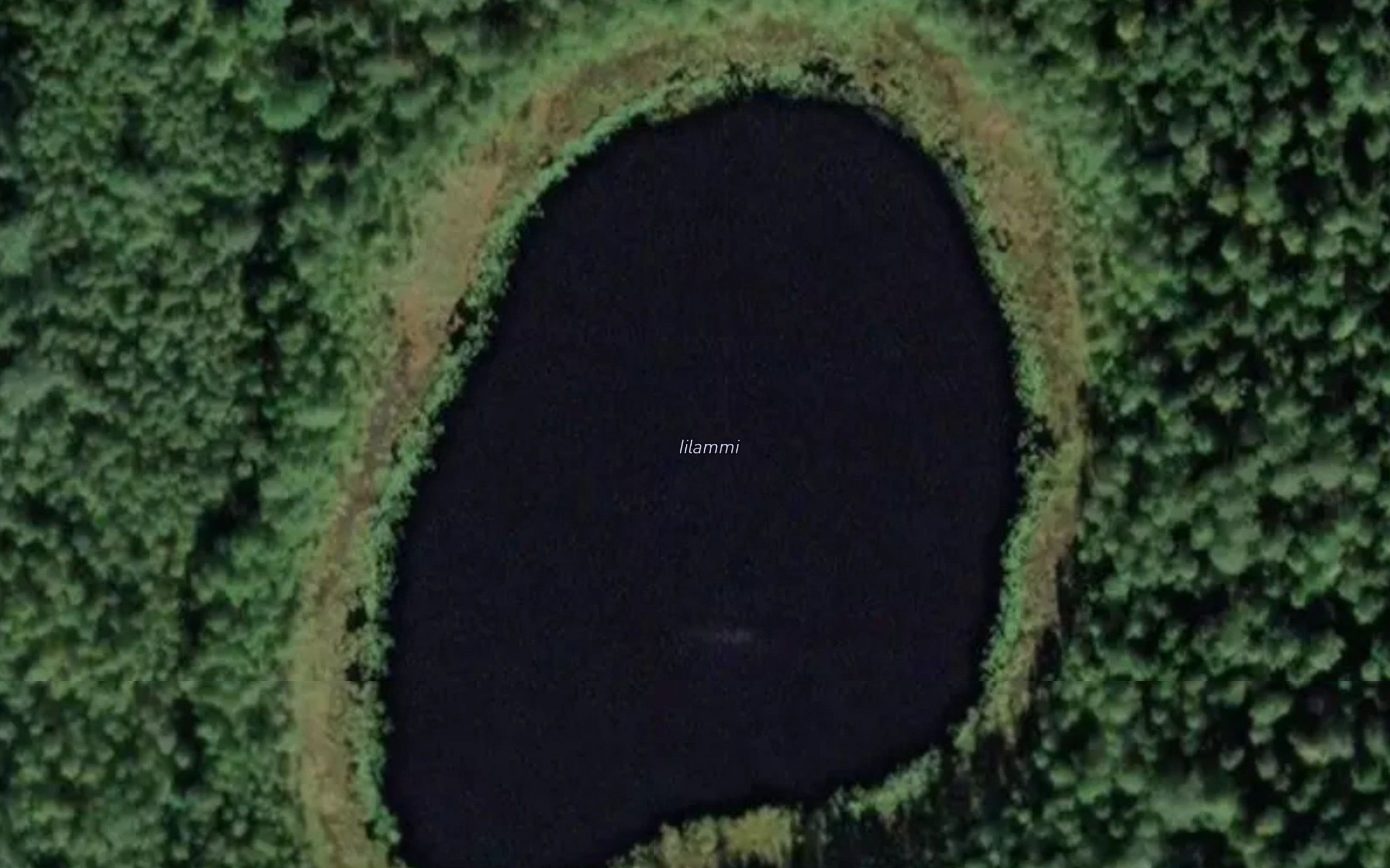 Iilammi