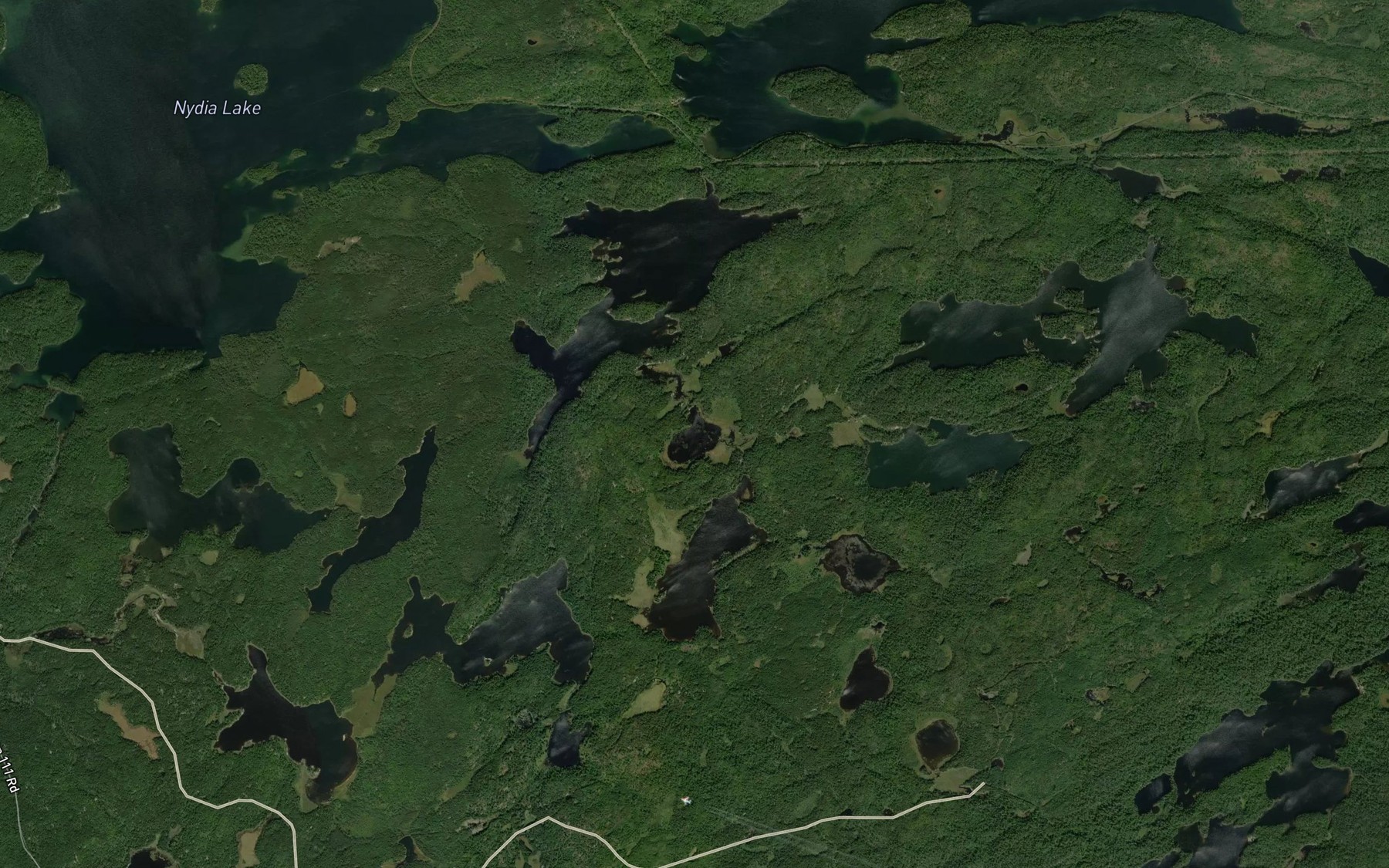 Satellite map of the June Lake