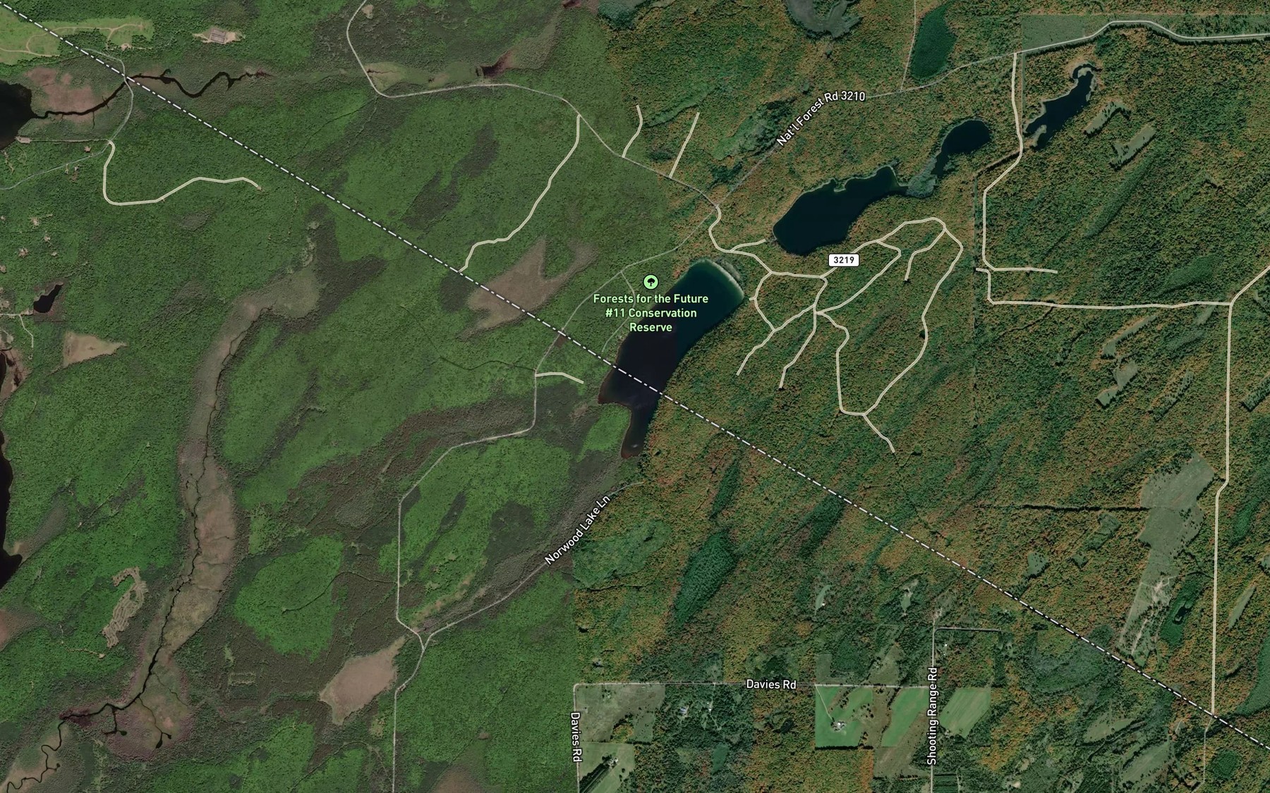 Satellite map of the Norwood Lake