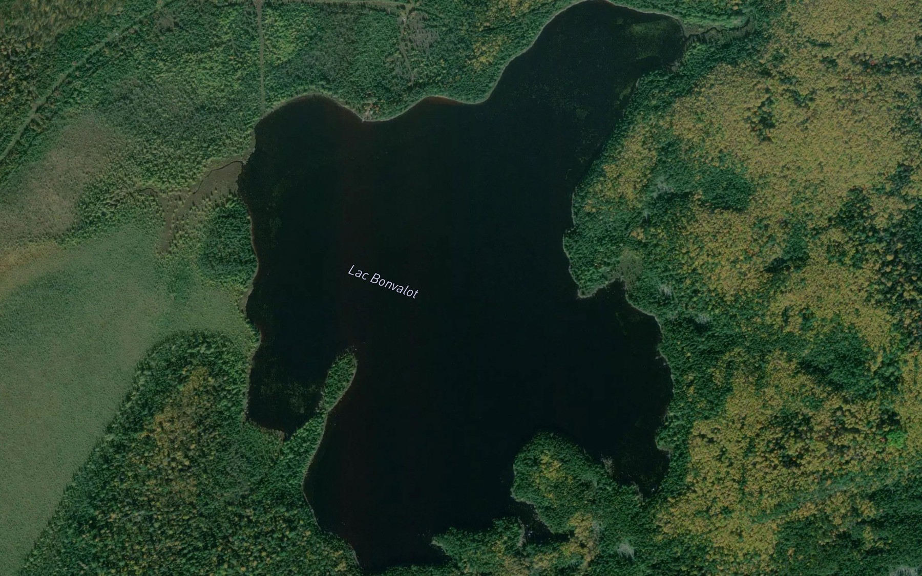 Satellite map of the Lac Bonvalot