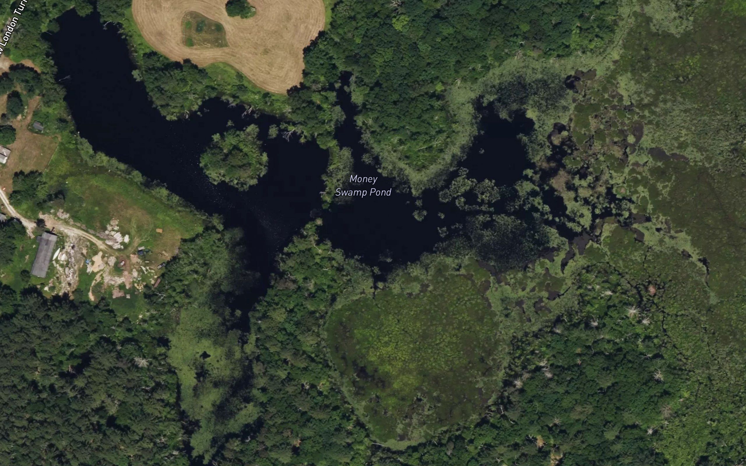 Money Swamp Pond