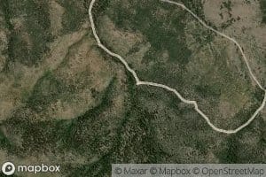 Quaking Aspen Spring