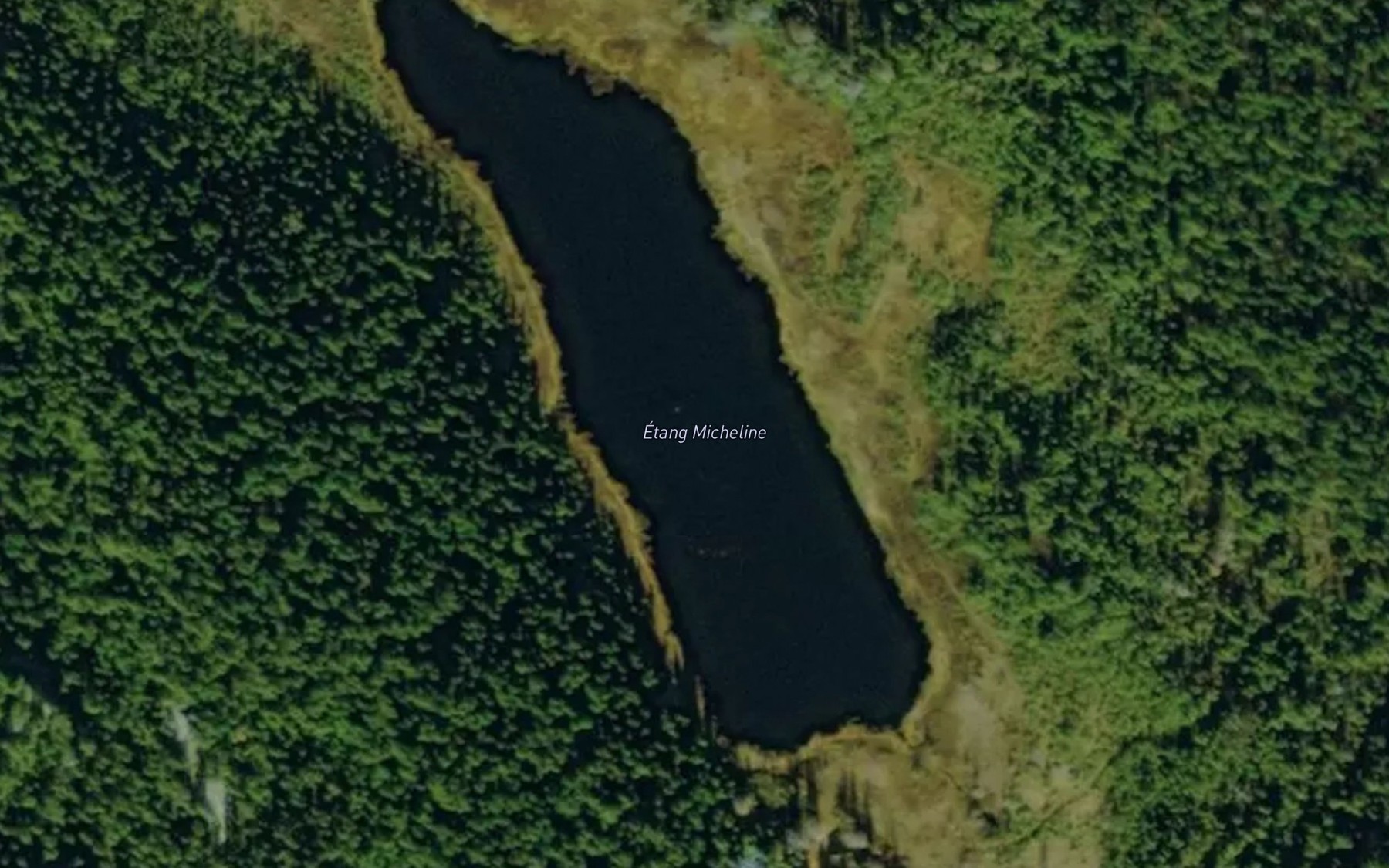 Satellite map of the Etang Micheline