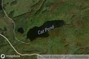 Cat Pond