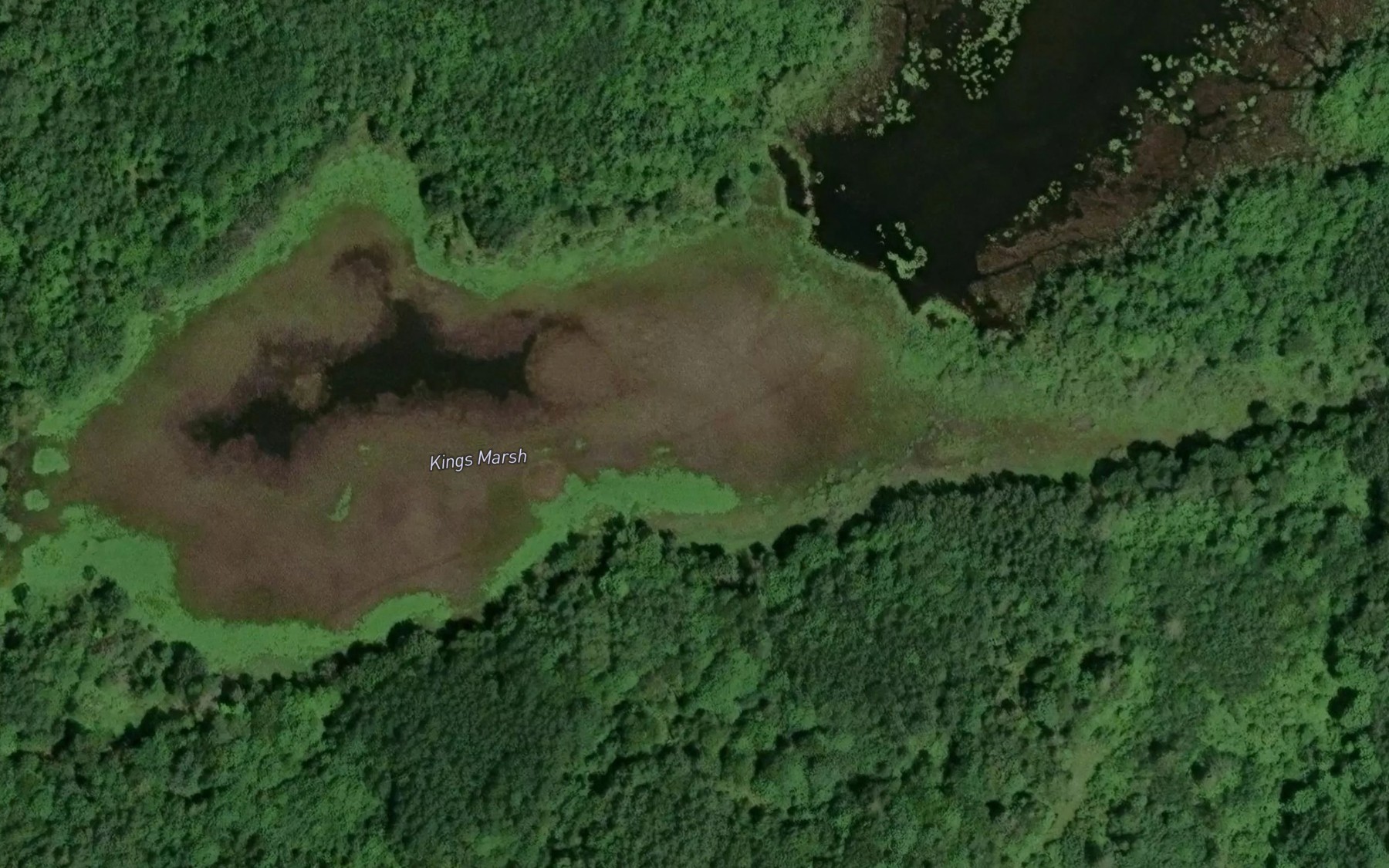 Satellite map of the Kings Marsh