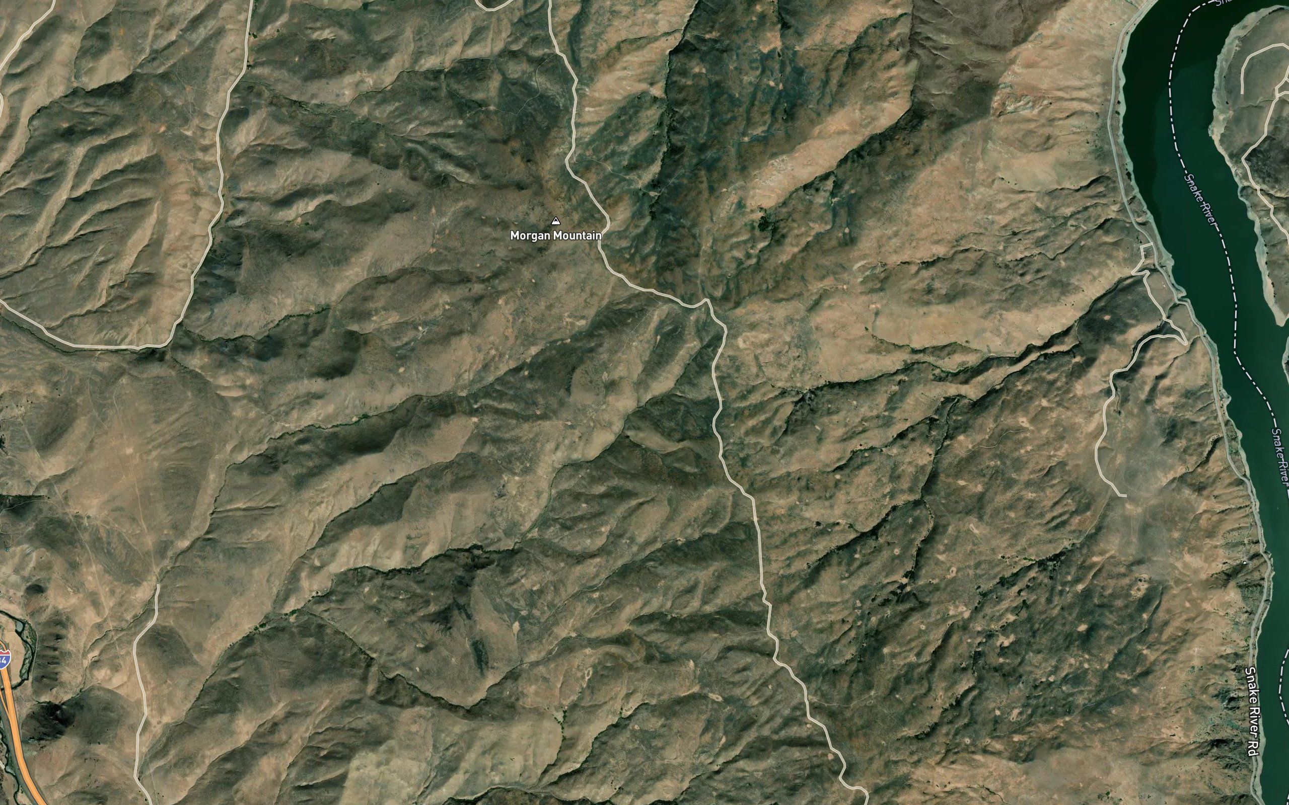 Powell Spring
